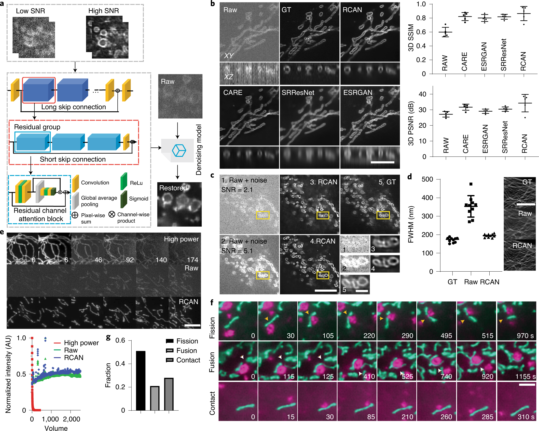 Three Dimensional Residual Channel Attention Networks Denoise And Sharpen Fluorescence Microscopy Image Volumes Nature Methods