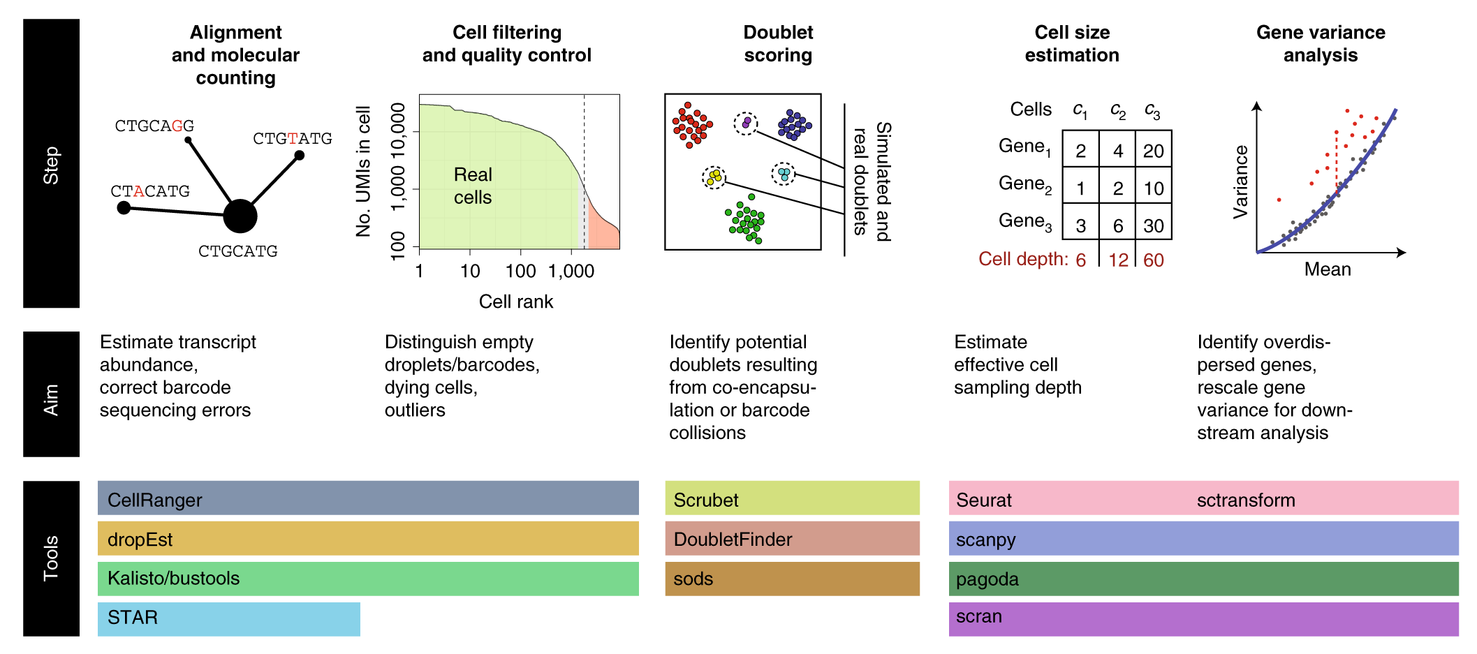 The triumphs and limitations of computational methods for scRNA 