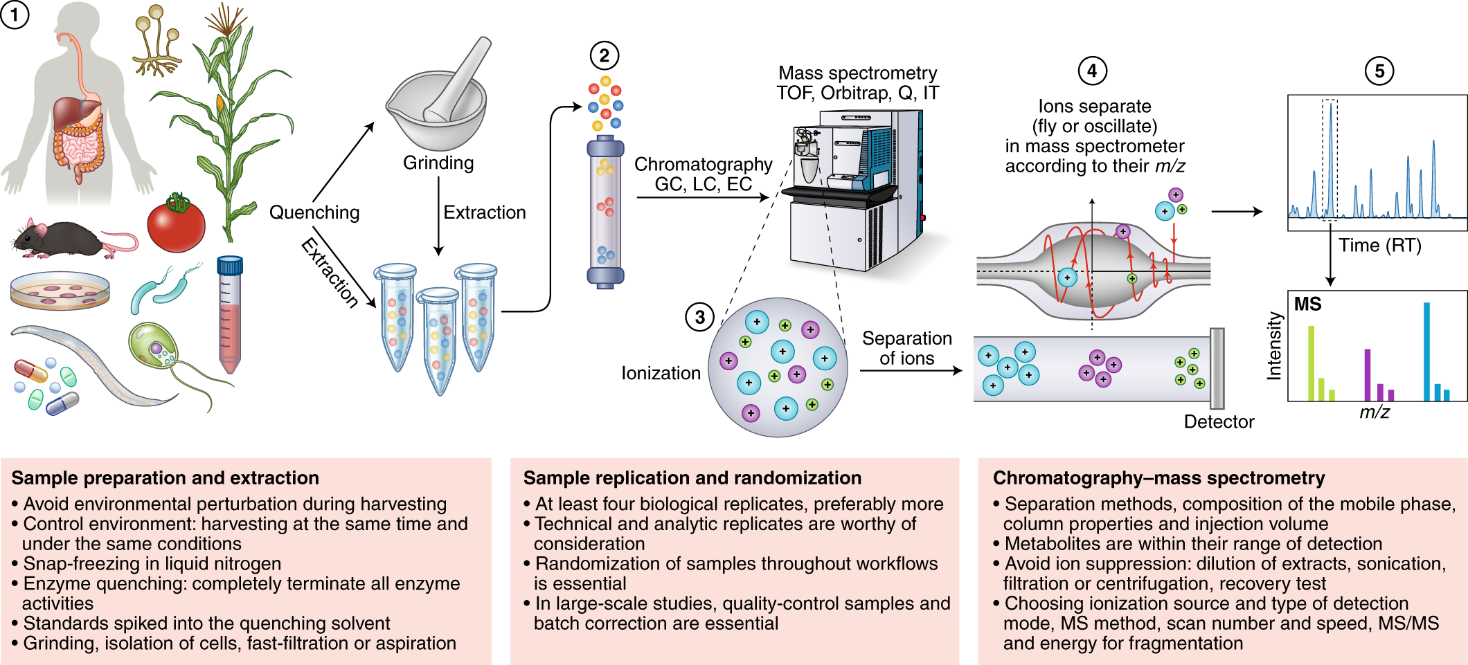 Recurrent Topics in Mass Spectrometry-Based Metabolomics and  Lipidomics—Standardization, Coverage, and Throughput