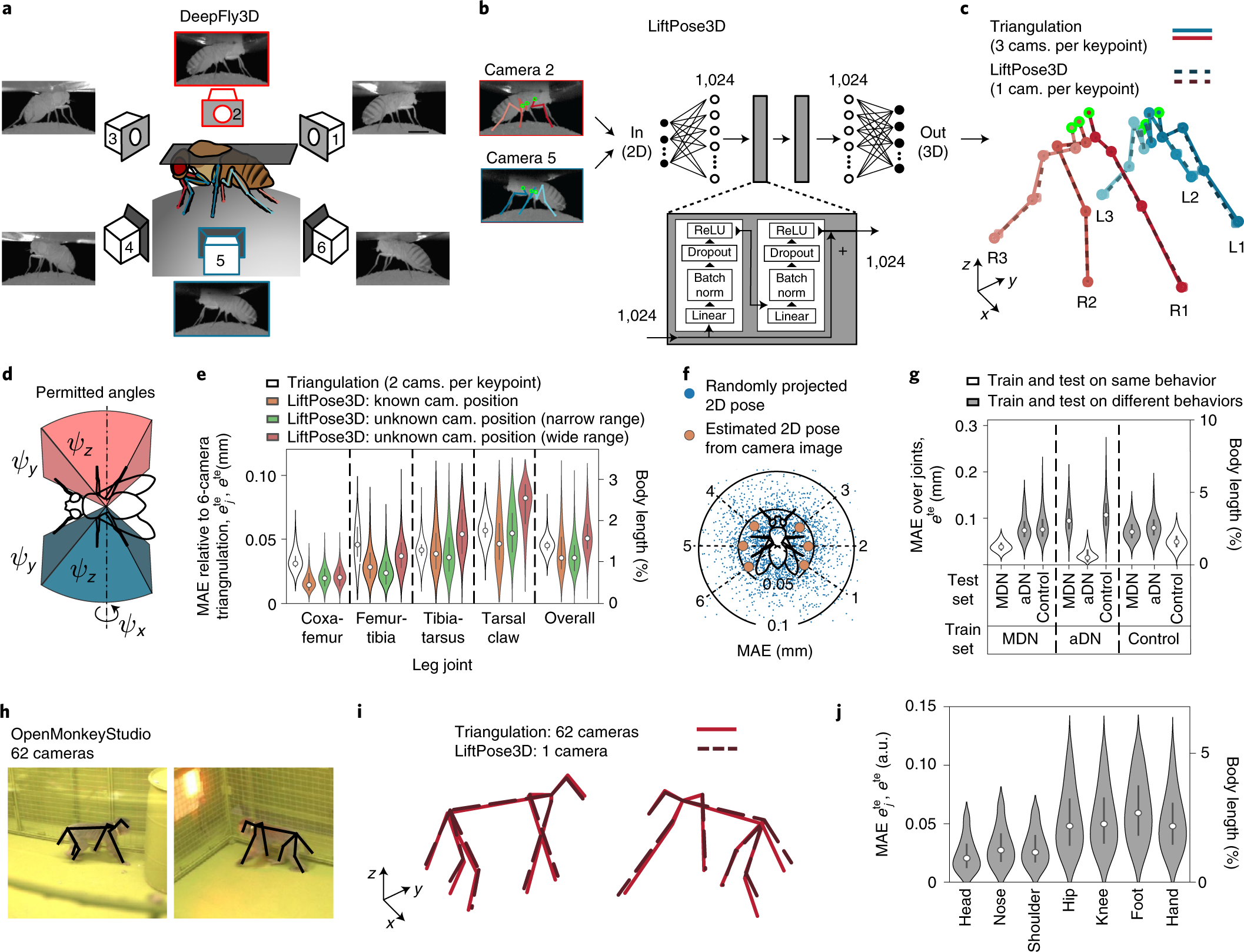 3D pose estimation enables virtual head fixation in freely moving rats -  ScienceDirect