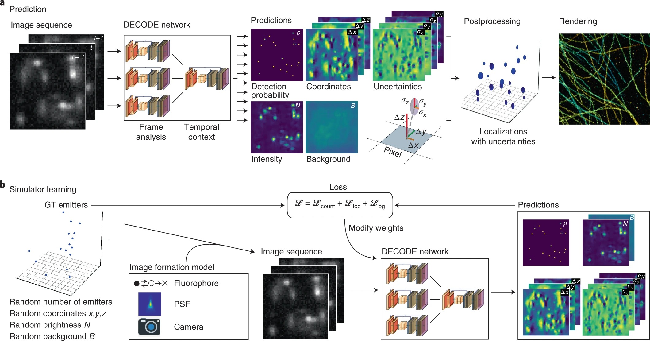 Deep learning enables fast and dense single-molecule localization with high accuracy