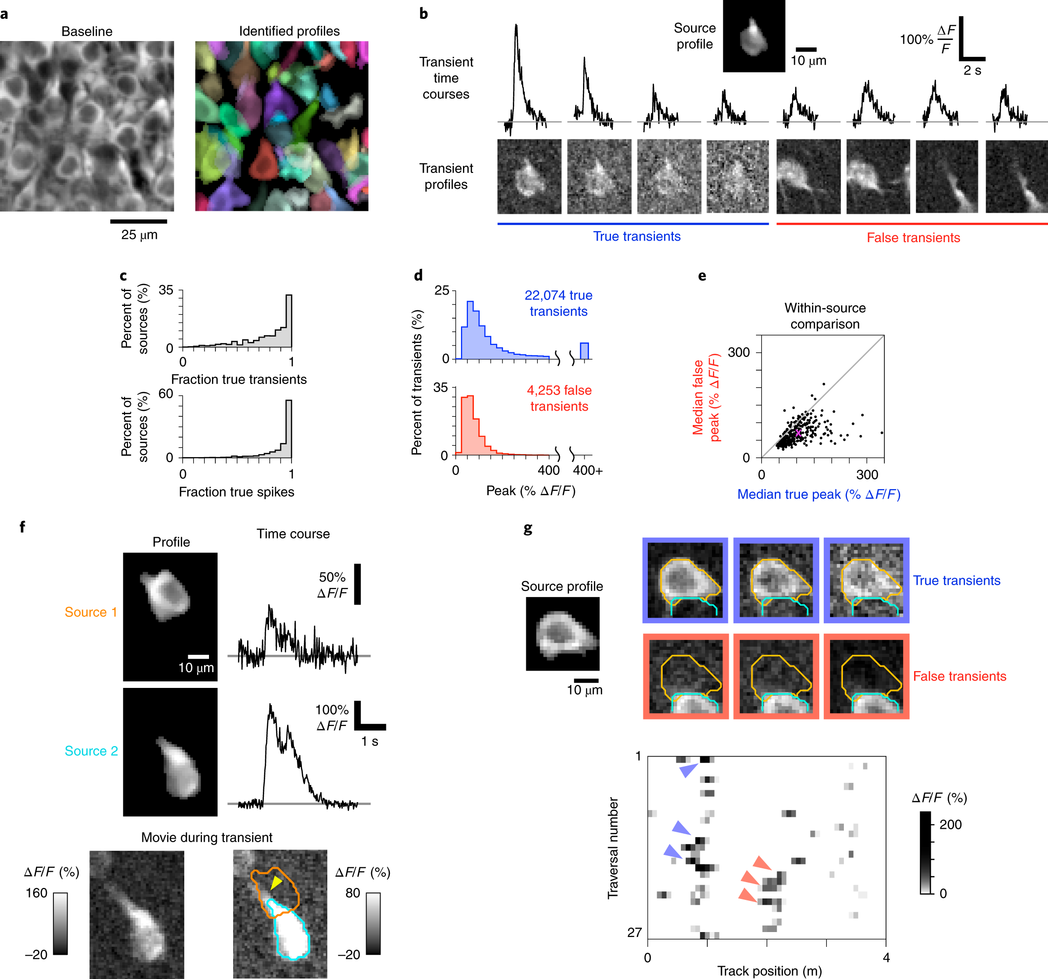 Detecting and correcting false transients in calcium imaging 
