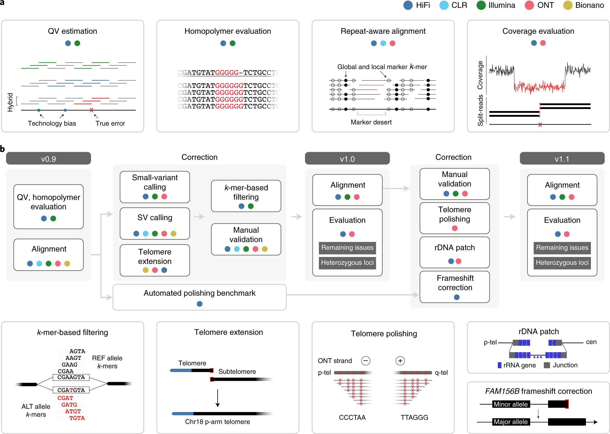 Chasing perfection: validation and polishing strategies for  telomere-to-telomere genome assemblies | Nature Methods