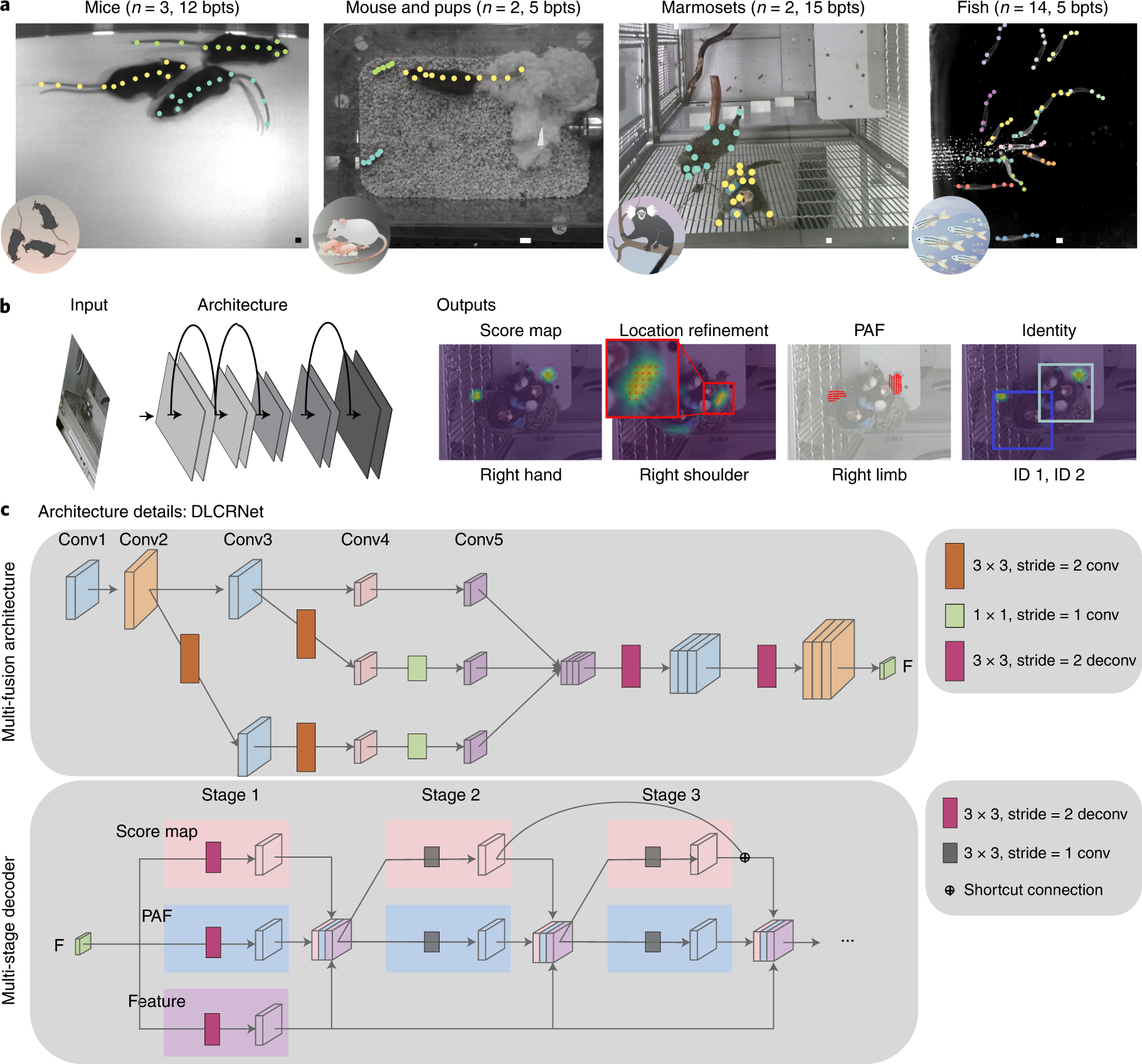 Multi-animal pose estimation, identification and tracking with