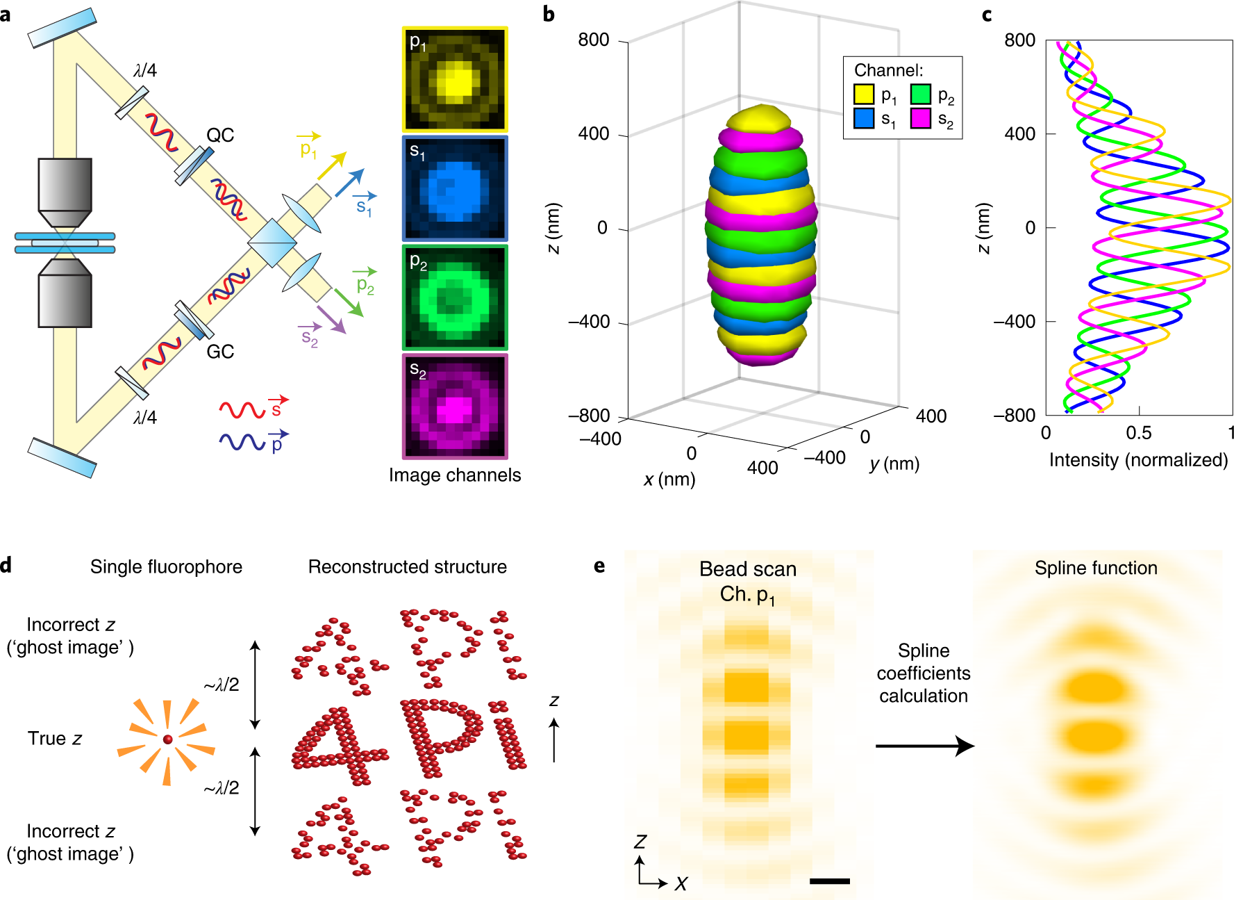 Optimal precision and accuracy in 4Pi-STORM using dynamic spline PSF models  | Nature Methods