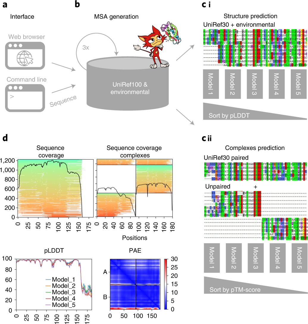 Artificial Intelligence Accurately Predicts Protein Folding – NIH