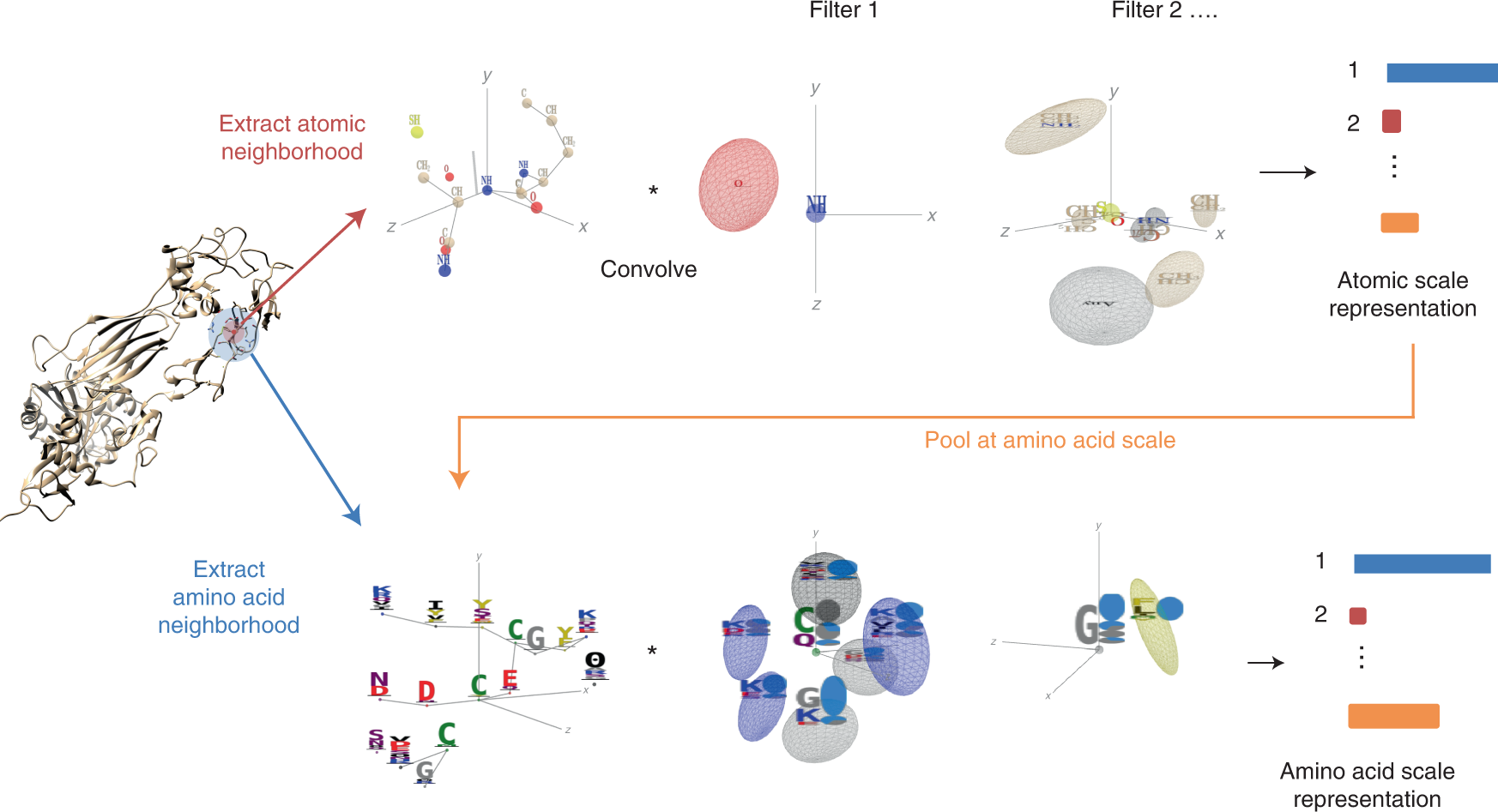 an interpretable geometric deep learning model structure-based protein binding site prediction | Nature Methods