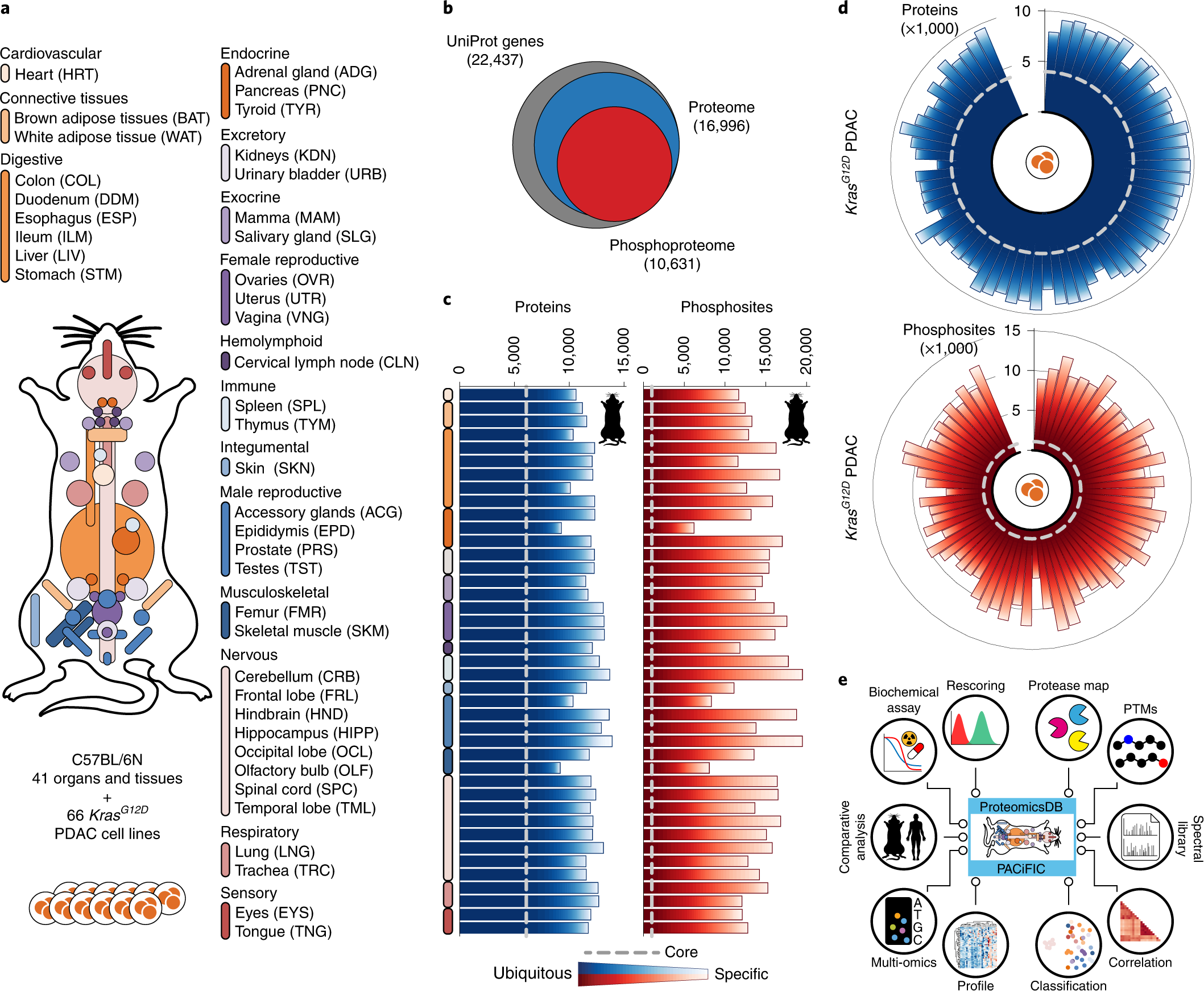 Mass spectrometry-based draft of the mouse proteome | Nature Methods
