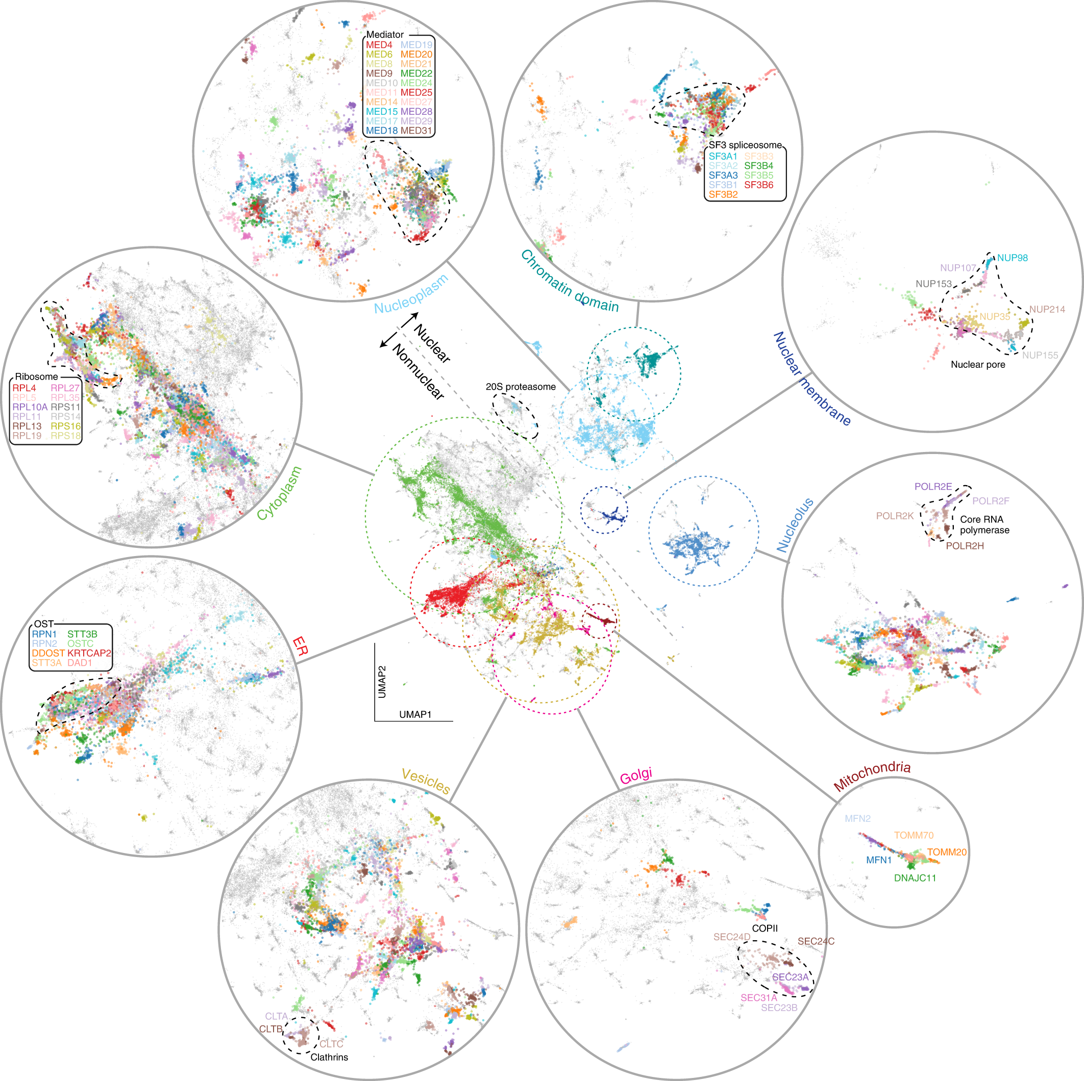 Fig. 2: High-resolution protein localization atlas.