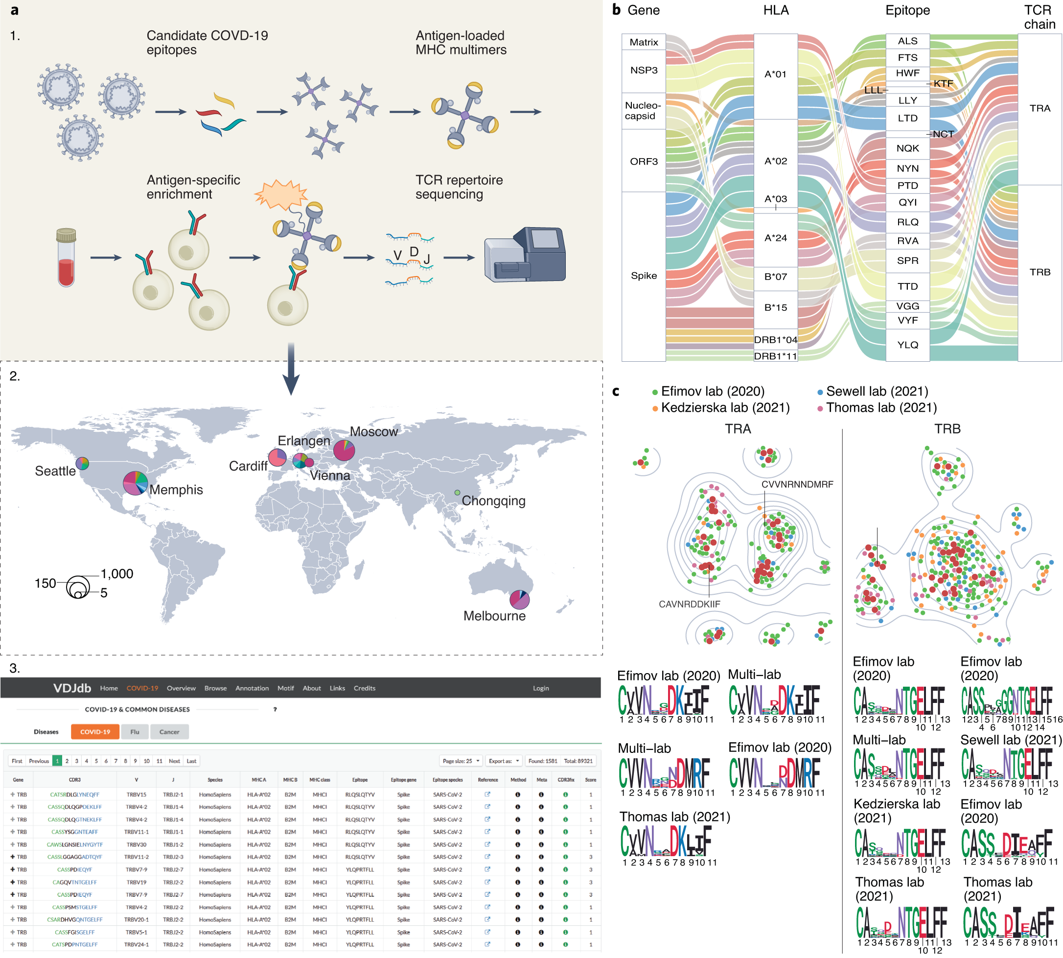 Fig. 1: Overview of COVID-19 data compendium stored in VDJdb.