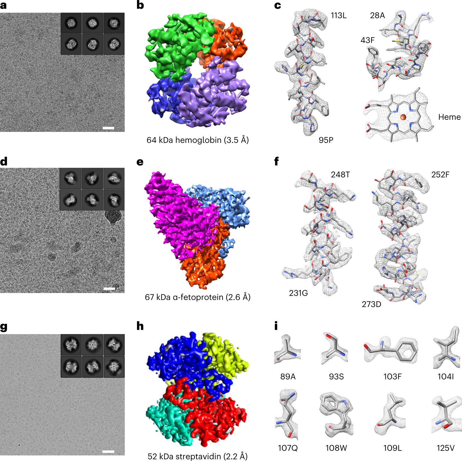 Fig. 5: High-resolution structural determination of small macromolecules by single-particle cryo-EM.