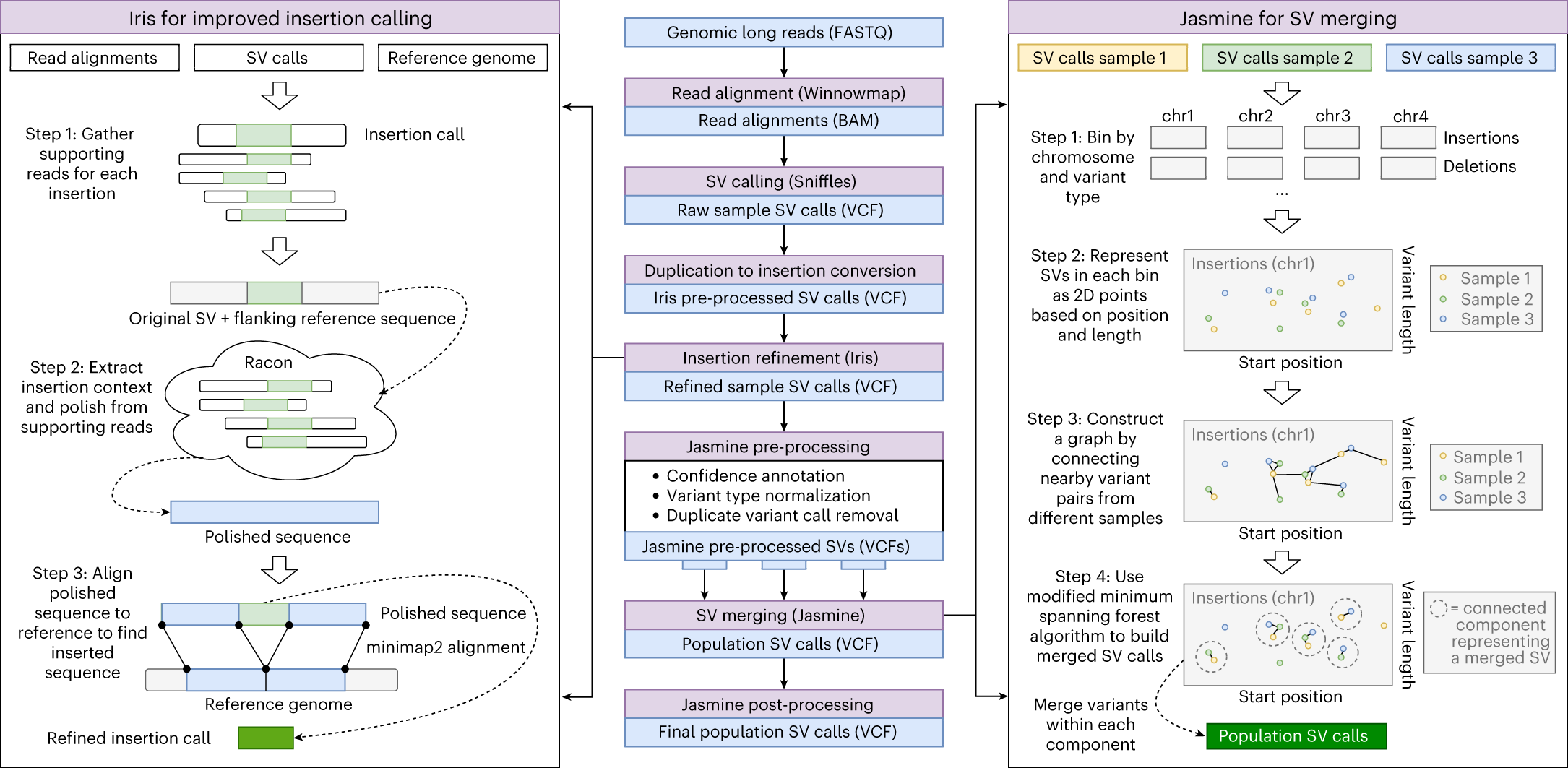 Jasmine and Iris: population-scale structural variant comparison and  analysis | Nature Methods