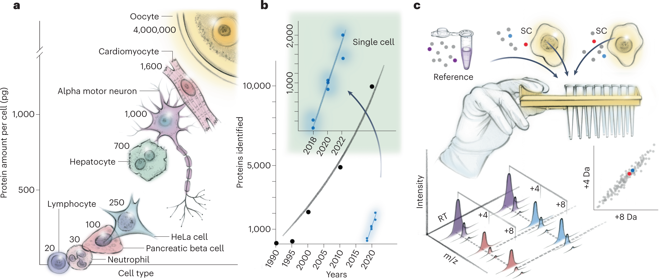 Single-Cell Proteomics with Spatial Attributes: Tools and Techniques