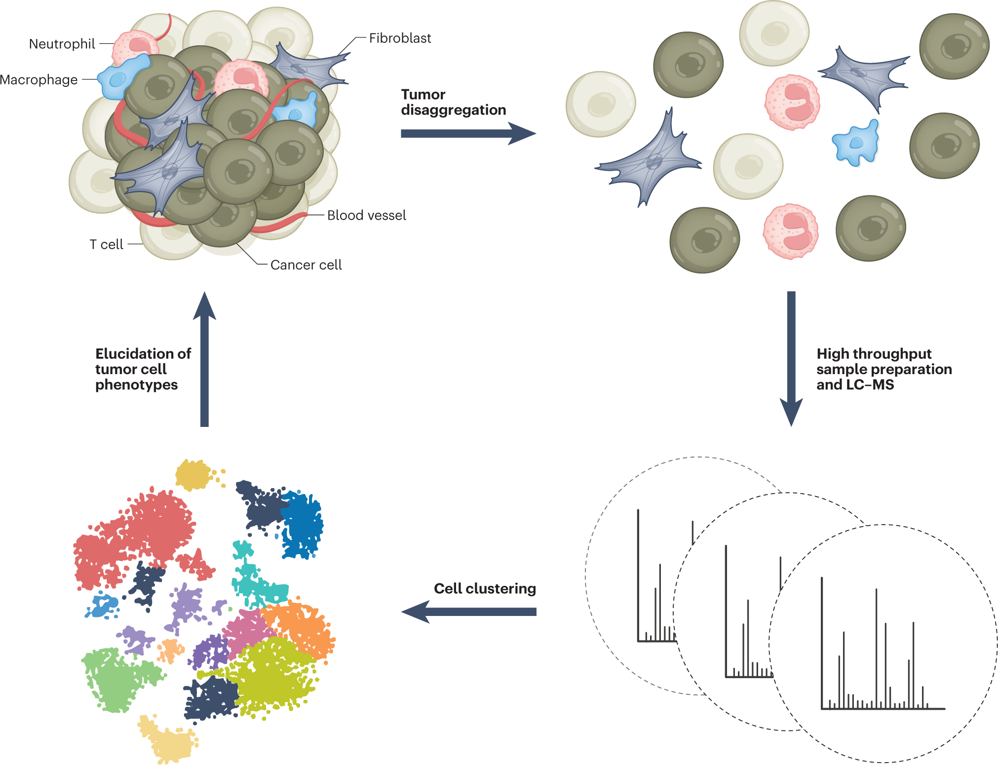 The Scope of Blood Grouping in the Elucidation of Problems of