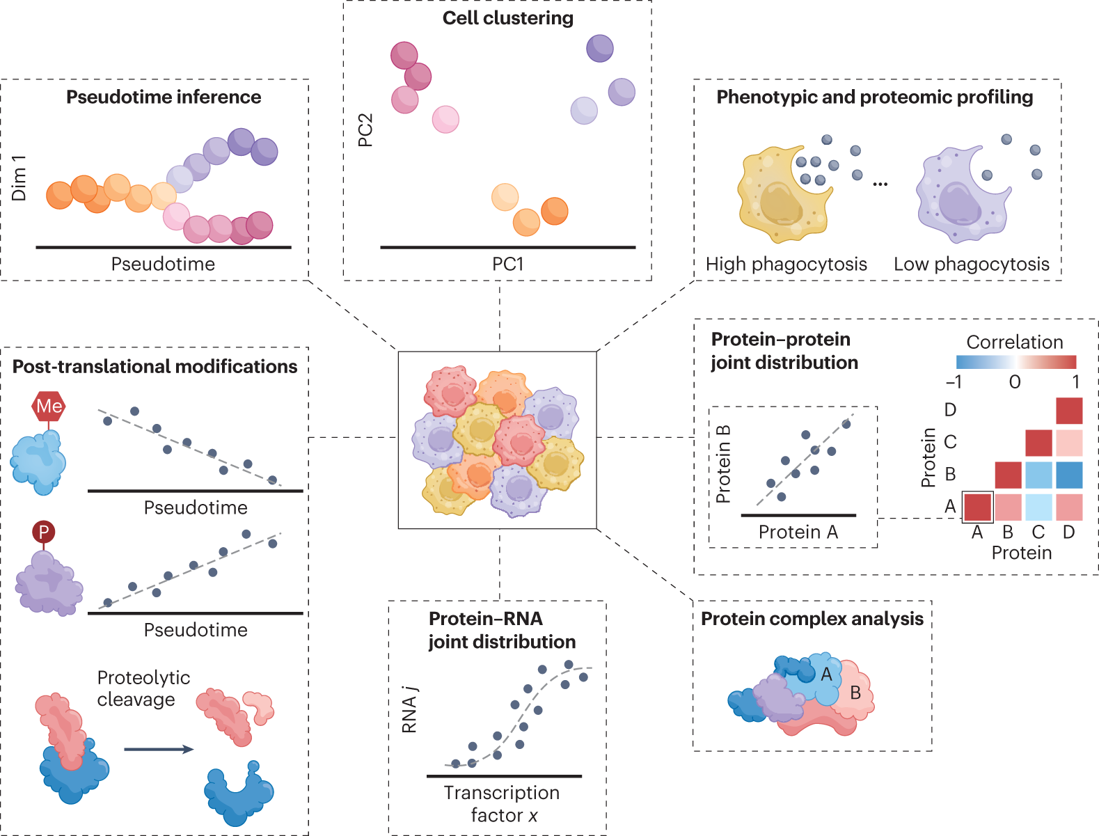 Single-Cell Proteomics with Spatial Attributes: Tools and Techniques