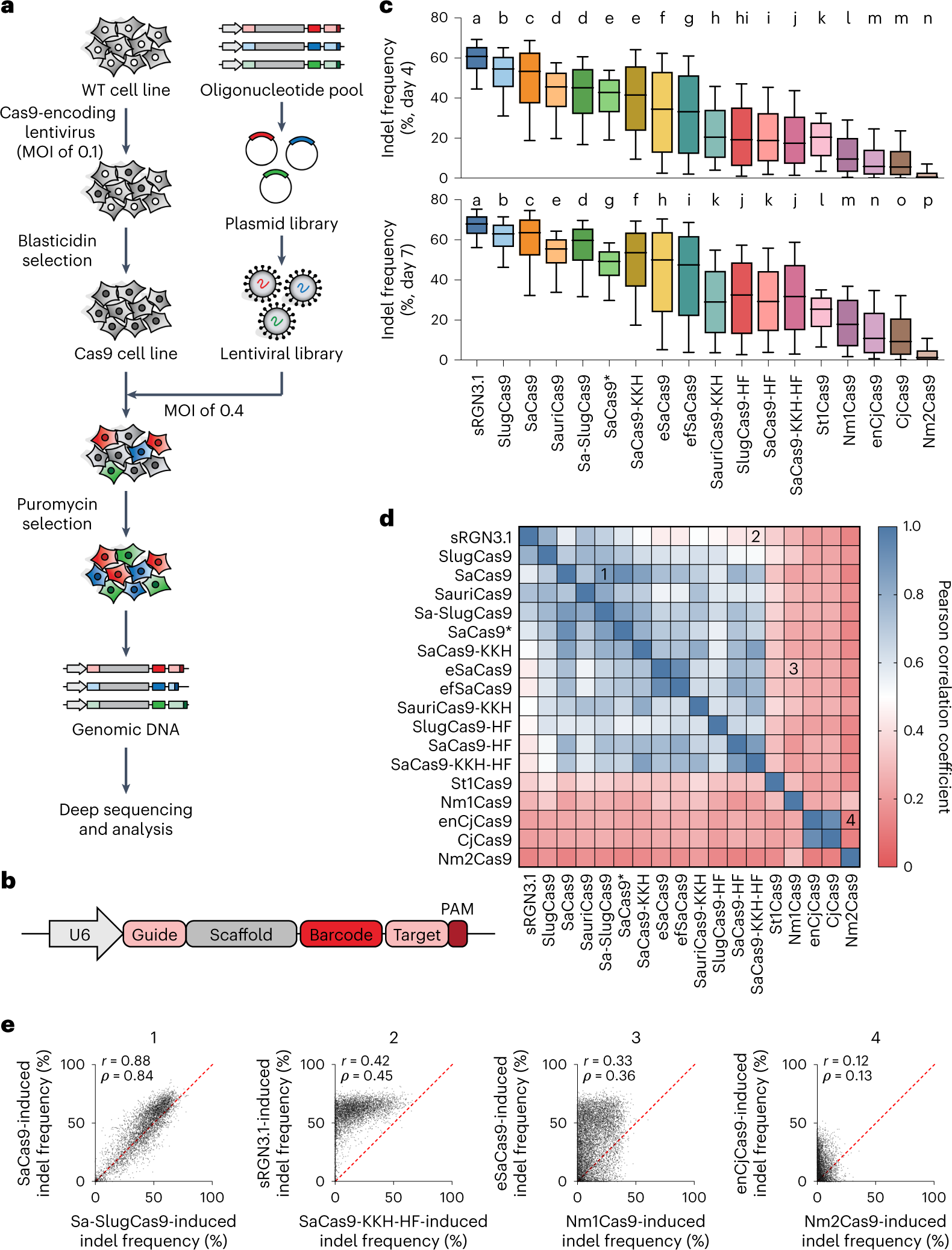 Massively parallel evaluation and computational prediction of the  activities and specificities of 17 small Cas9s | Nature Methods