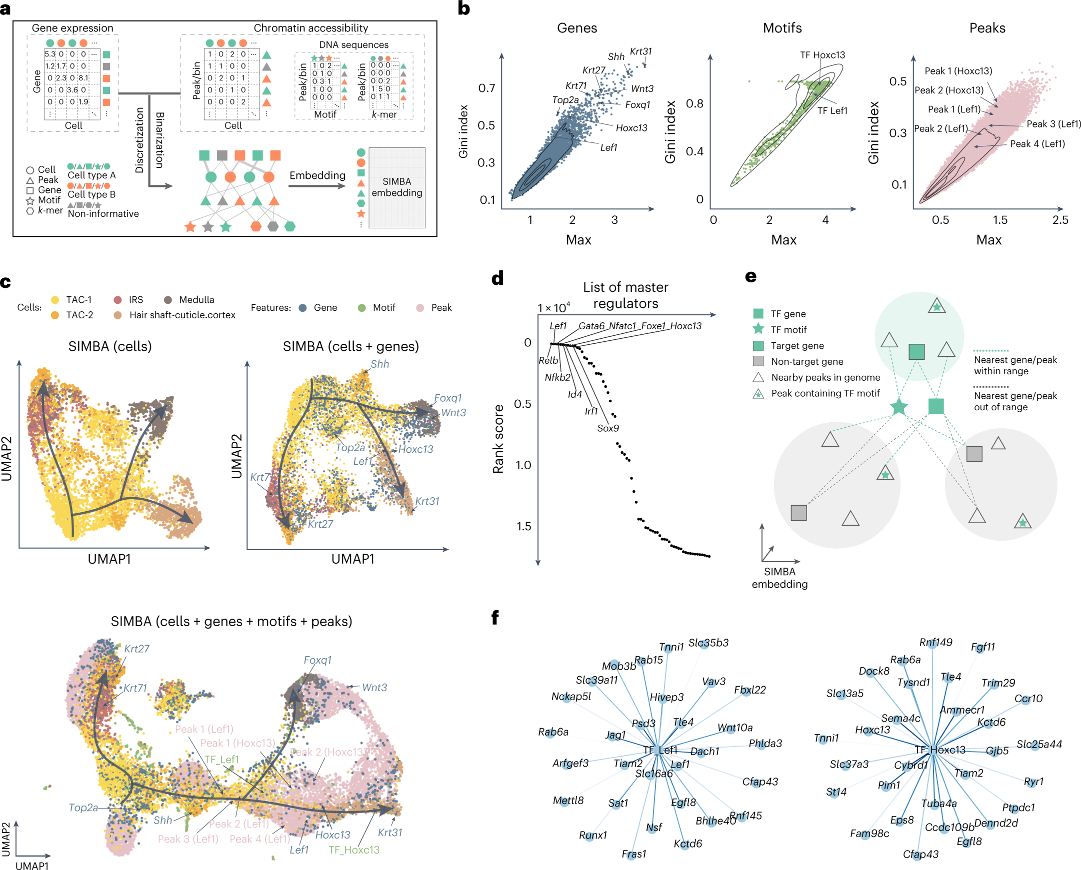 Fig. 4: Multimodal analysis of the SHARE-seq hair follicle dataset using SIMBA.