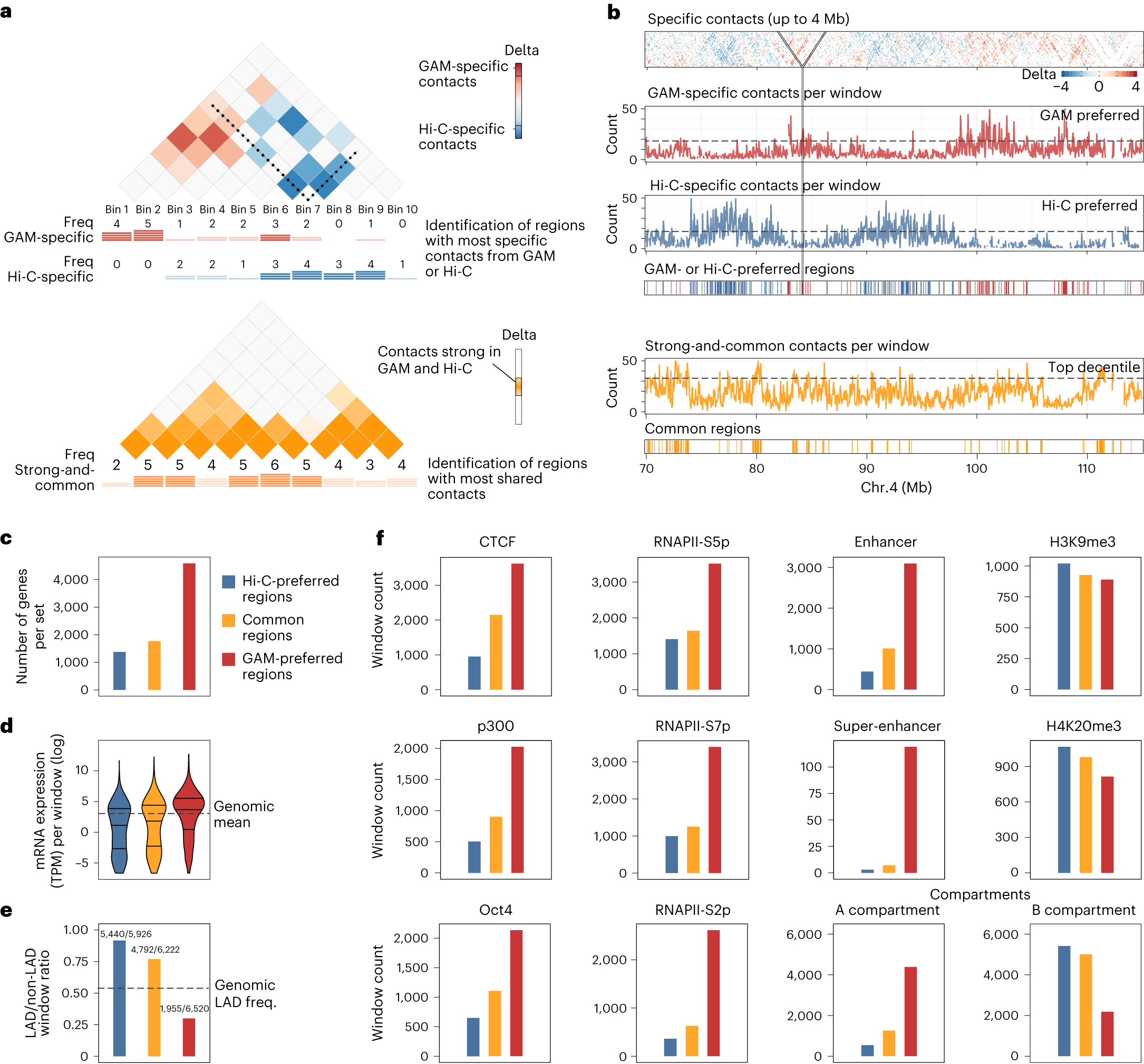 Fig. 4: Genomic windows enriched for Hi-C- and GAM-specific contacts are clustered in the genome.