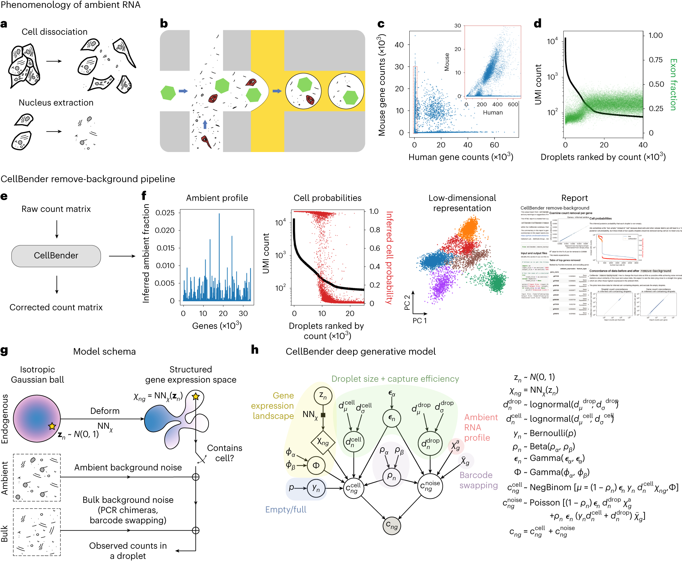 https://media.springernature.com/full/springer-static/image/art%3A10.1038%2Fs41592-023-01943-7/MediaObjects/41592_2023_1943_Fig1_HTML.png