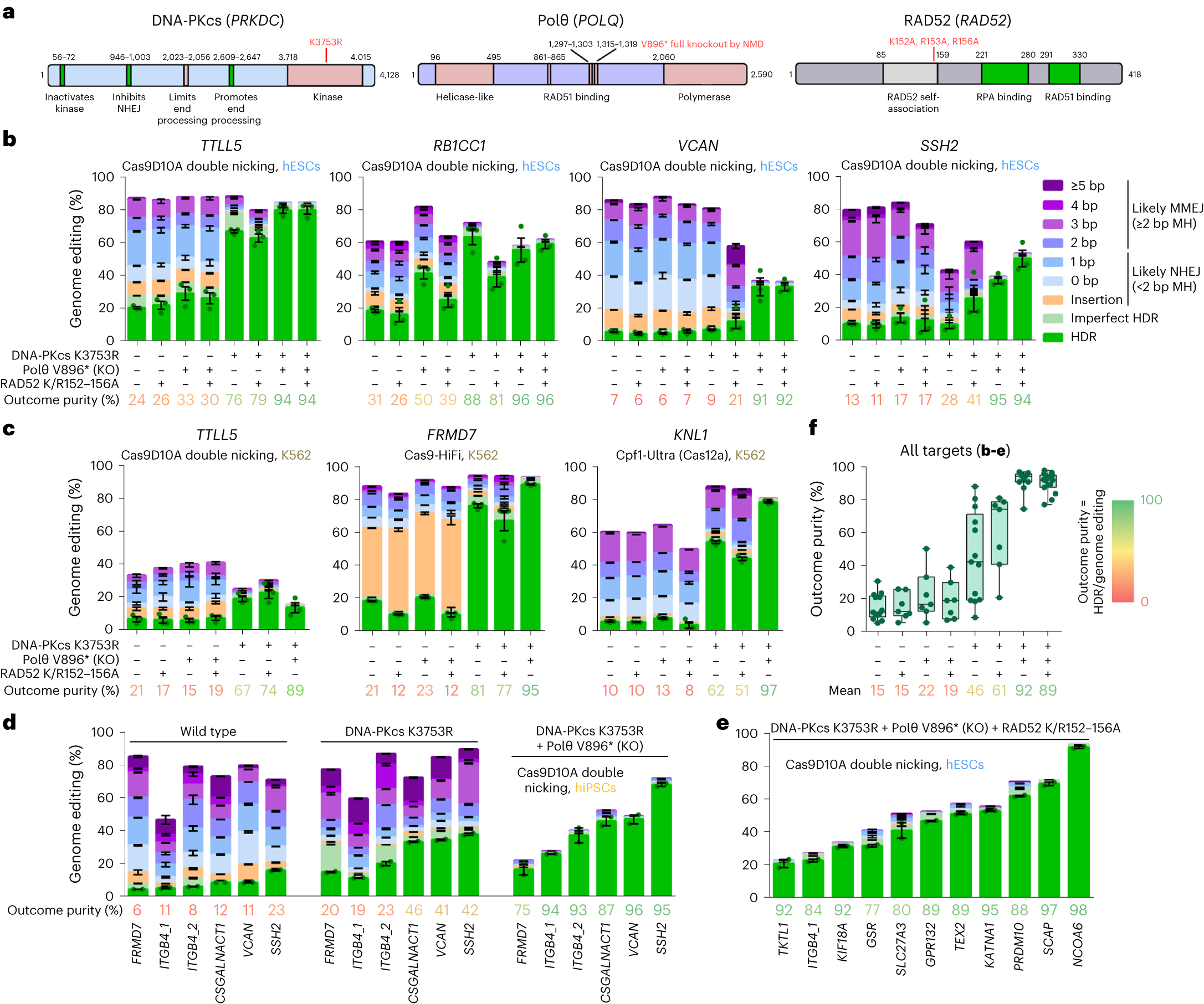 Genome-wide Mapping of Off-Target Events in Single-Stranded  Oligodeoxynucleotide-Mediated Gene Repair Experiments: Molecular Therapy