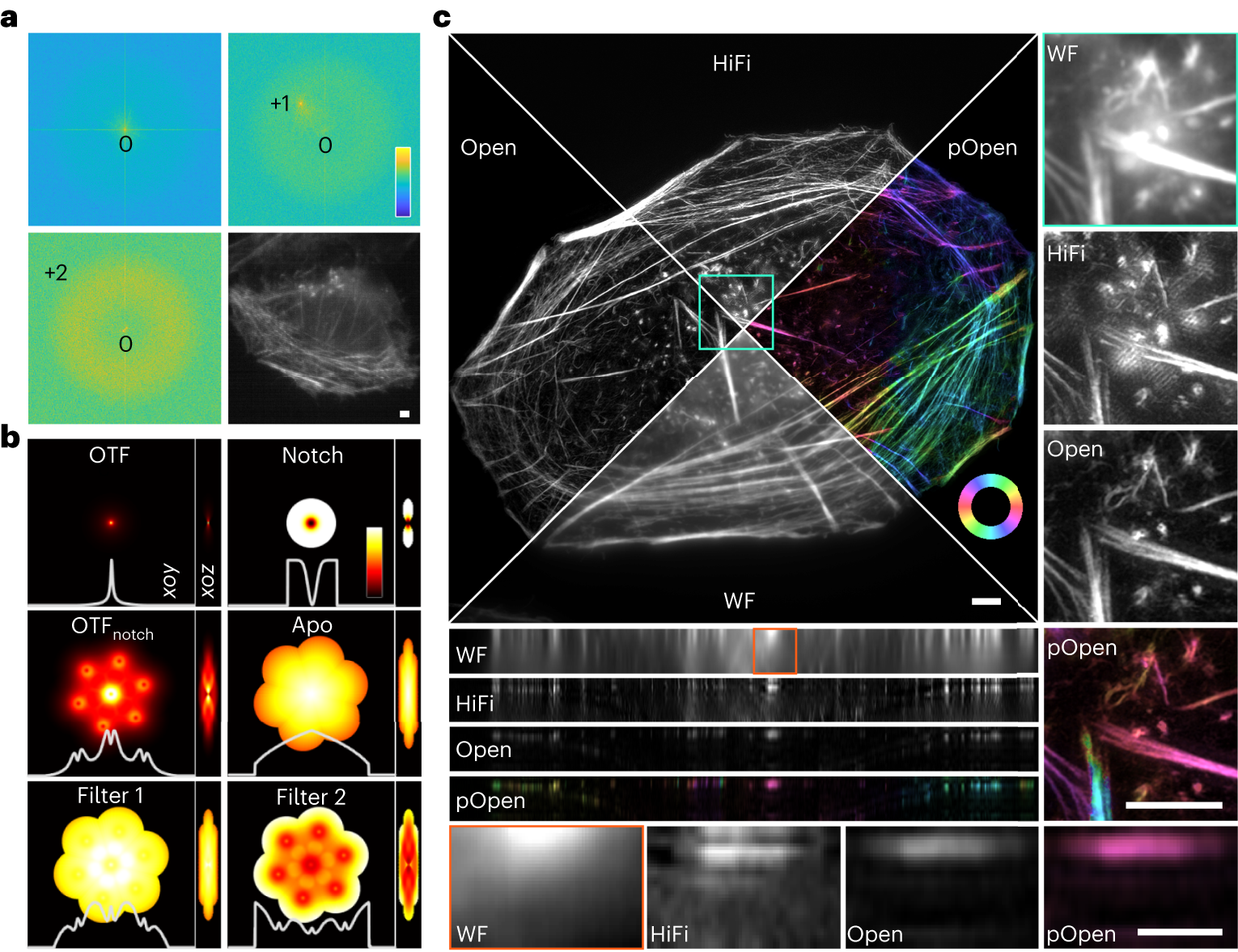 Open-3DSIM: an open-source three-dimensional structured illumination  microscopy reconstruction platform | Nature Methods