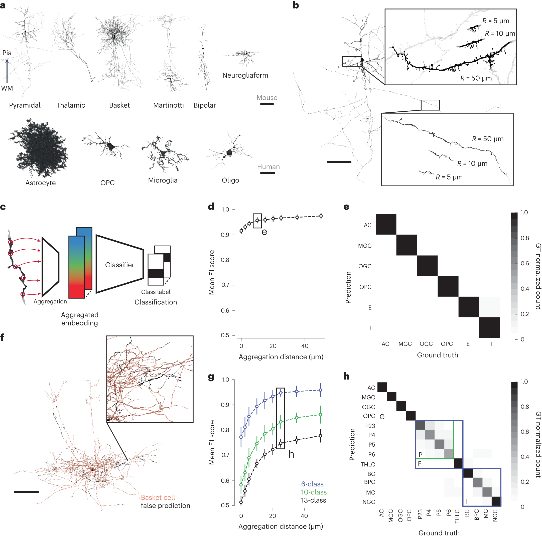 Fig. 3: Cell type classification of large and small cell fragments via aggregated embeddings.