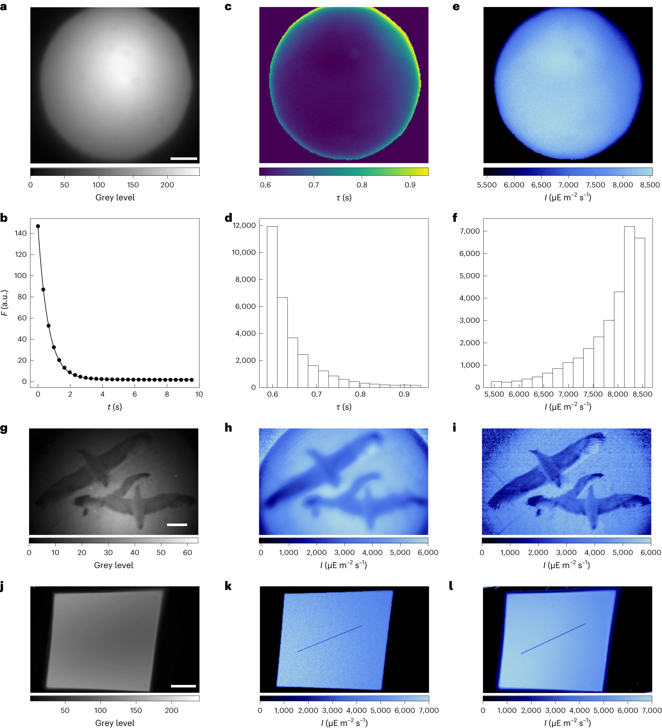 Fig. 2: Dronpa-2 for characterization of illumination in wide-field fluorescence imaging.