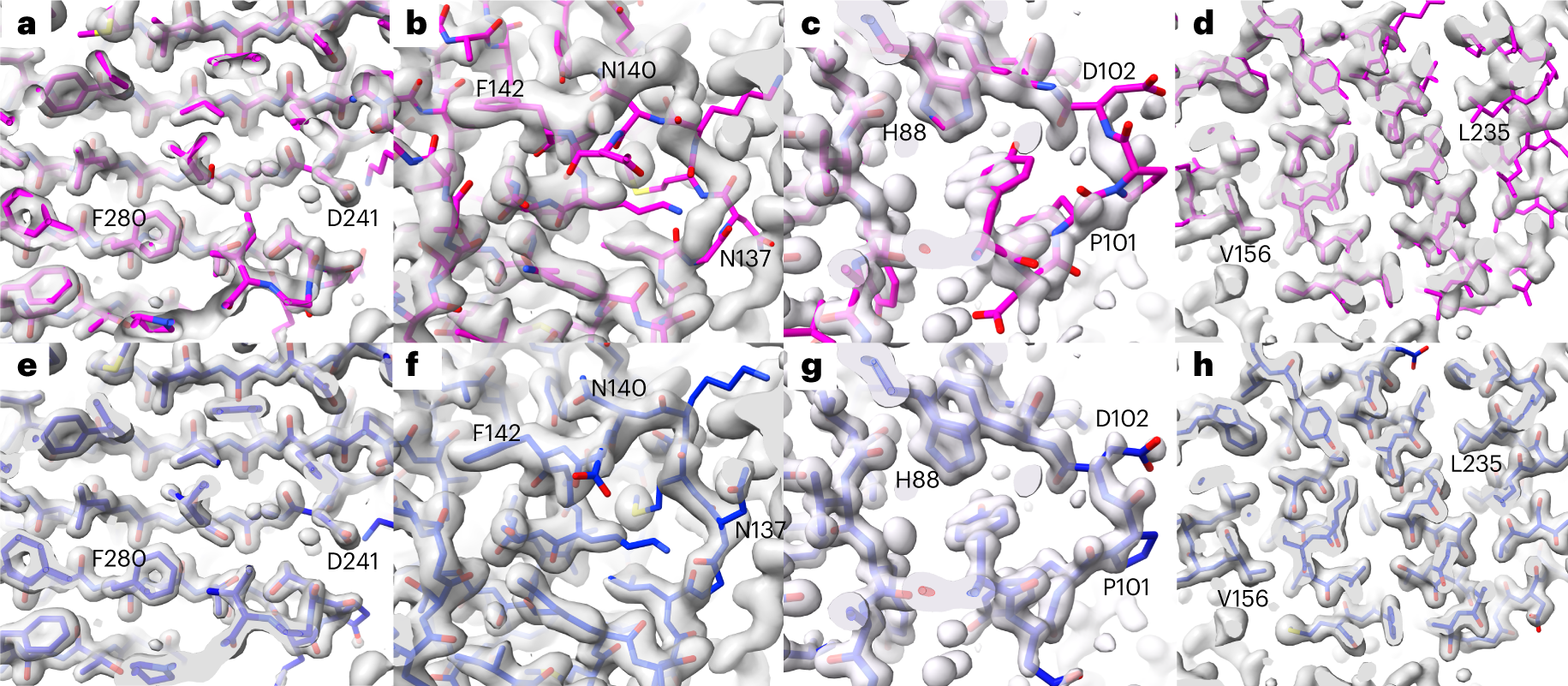 More than just pattern recognition: Prediction of uncommon protein  structure features by AI methods