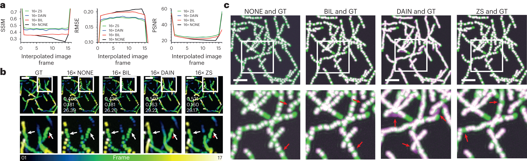 Fig. 4: iCAFI allows for 16-fold accurate interpolation of particle motion prediction.