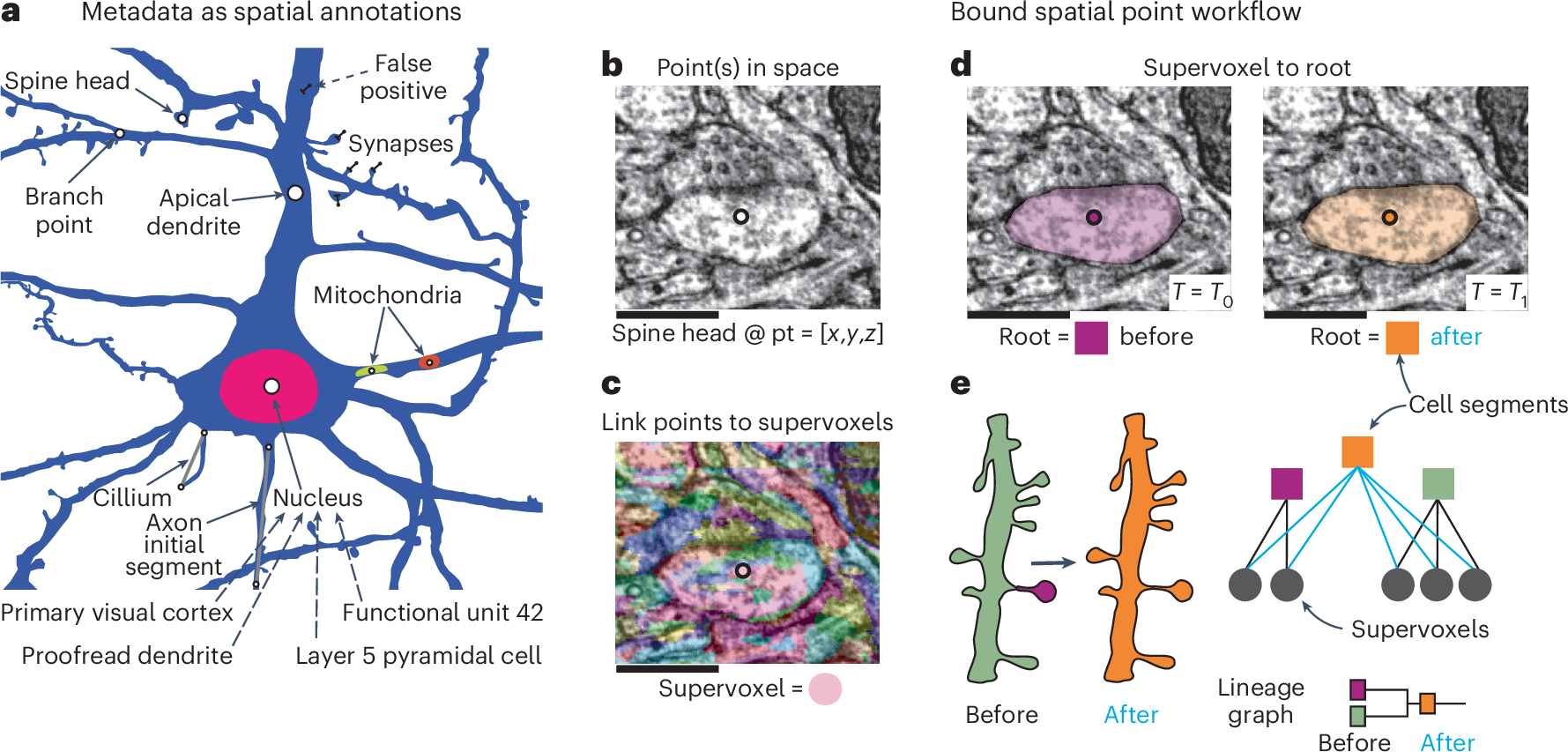 Fig. 4: Annotations for proofreadable datasets.