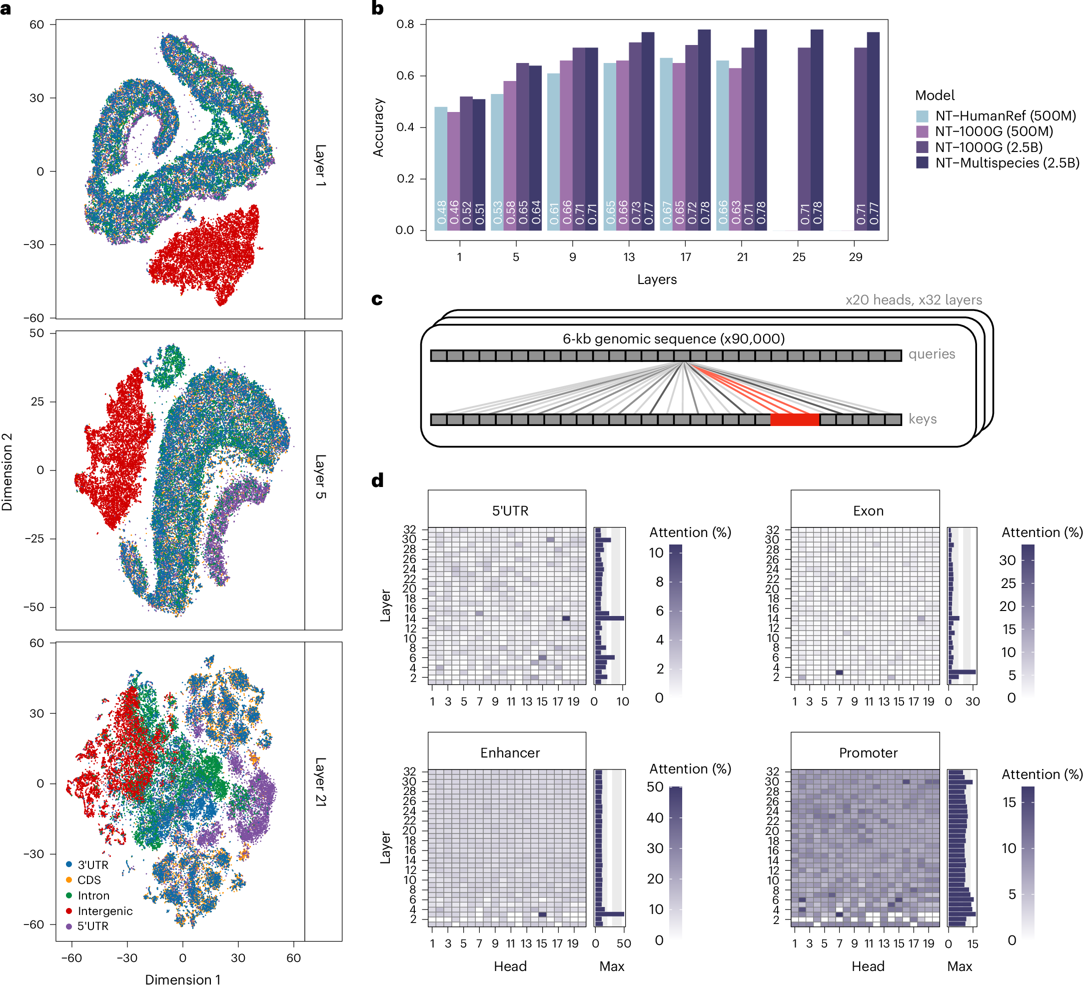 Fig. 3: The Nucleotide Transformer models acquired knowledge about genomic elements.