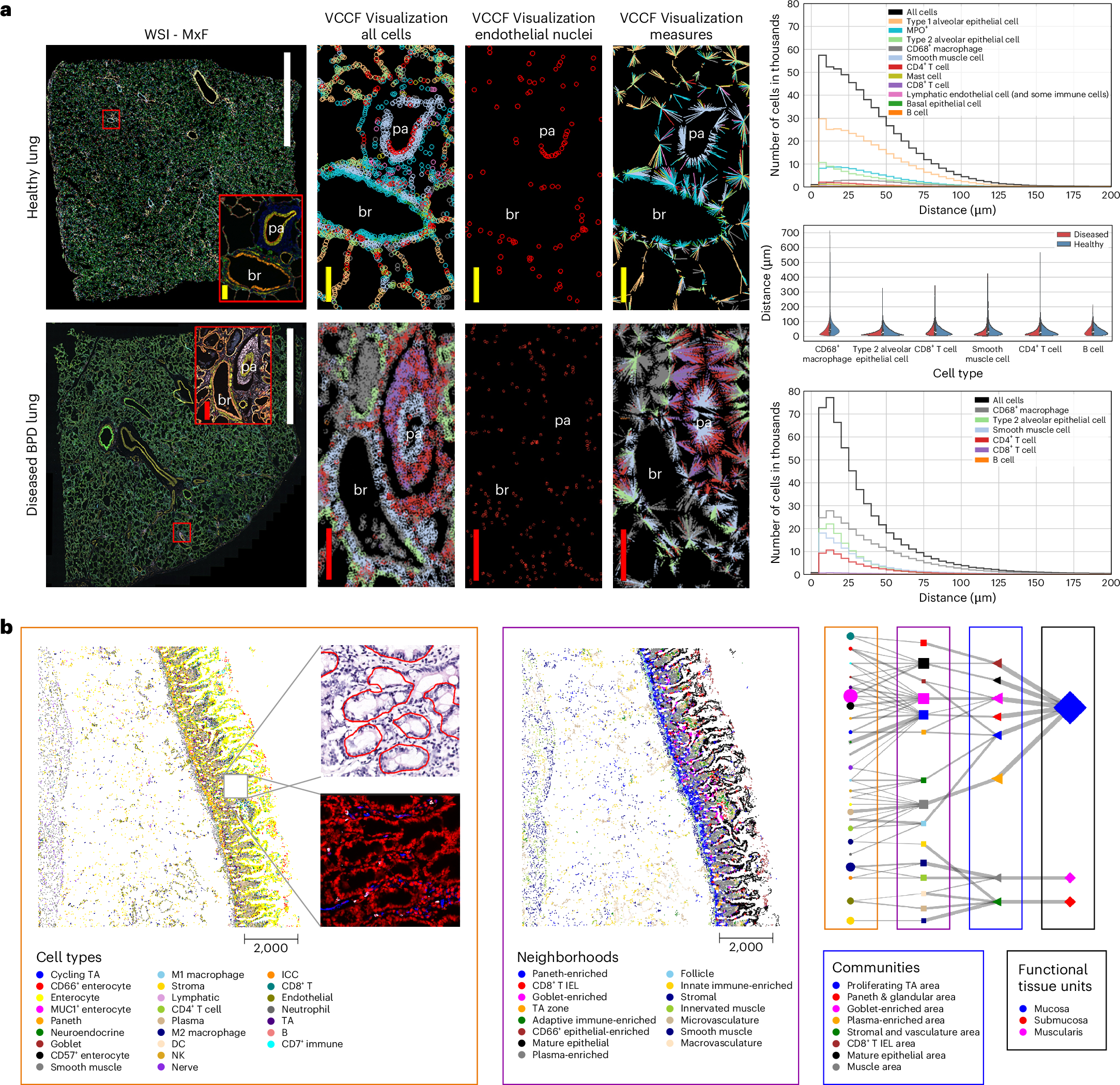 Fig. 3: Human Reference Atlas usage.