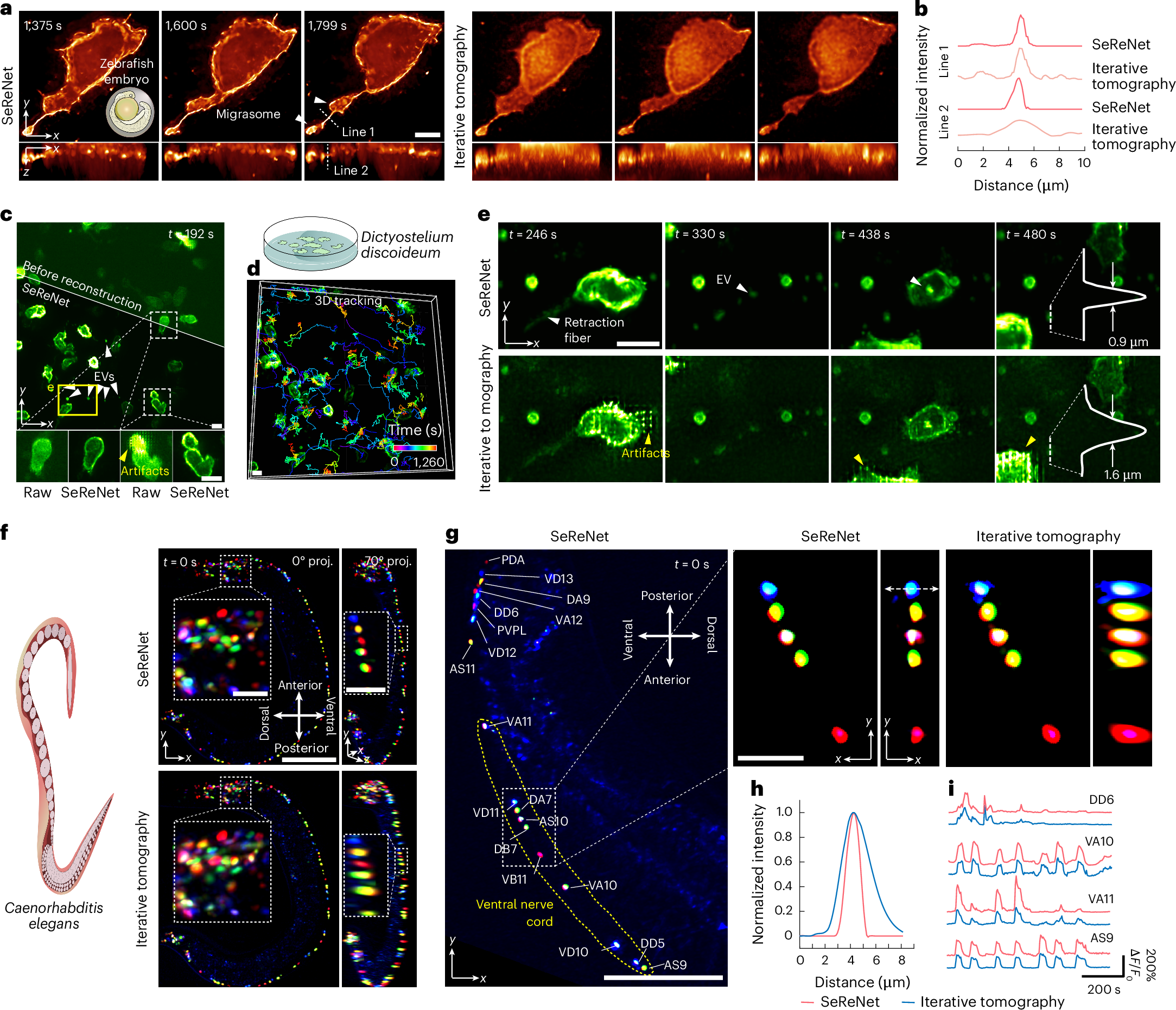 Fig. 3: Experimental comparisons of SeReNet and other SOTA methods in diverse living organisms.