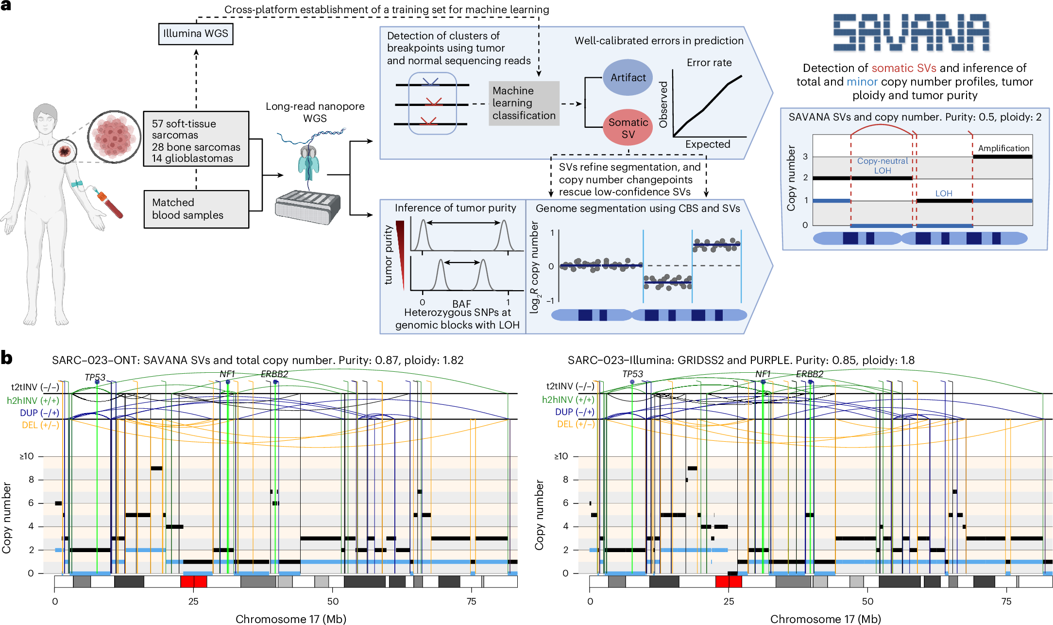 SAVANA: reliable analysis of somatic structural variants and copy number  aberrations using long-read sequencing | Nature Methods