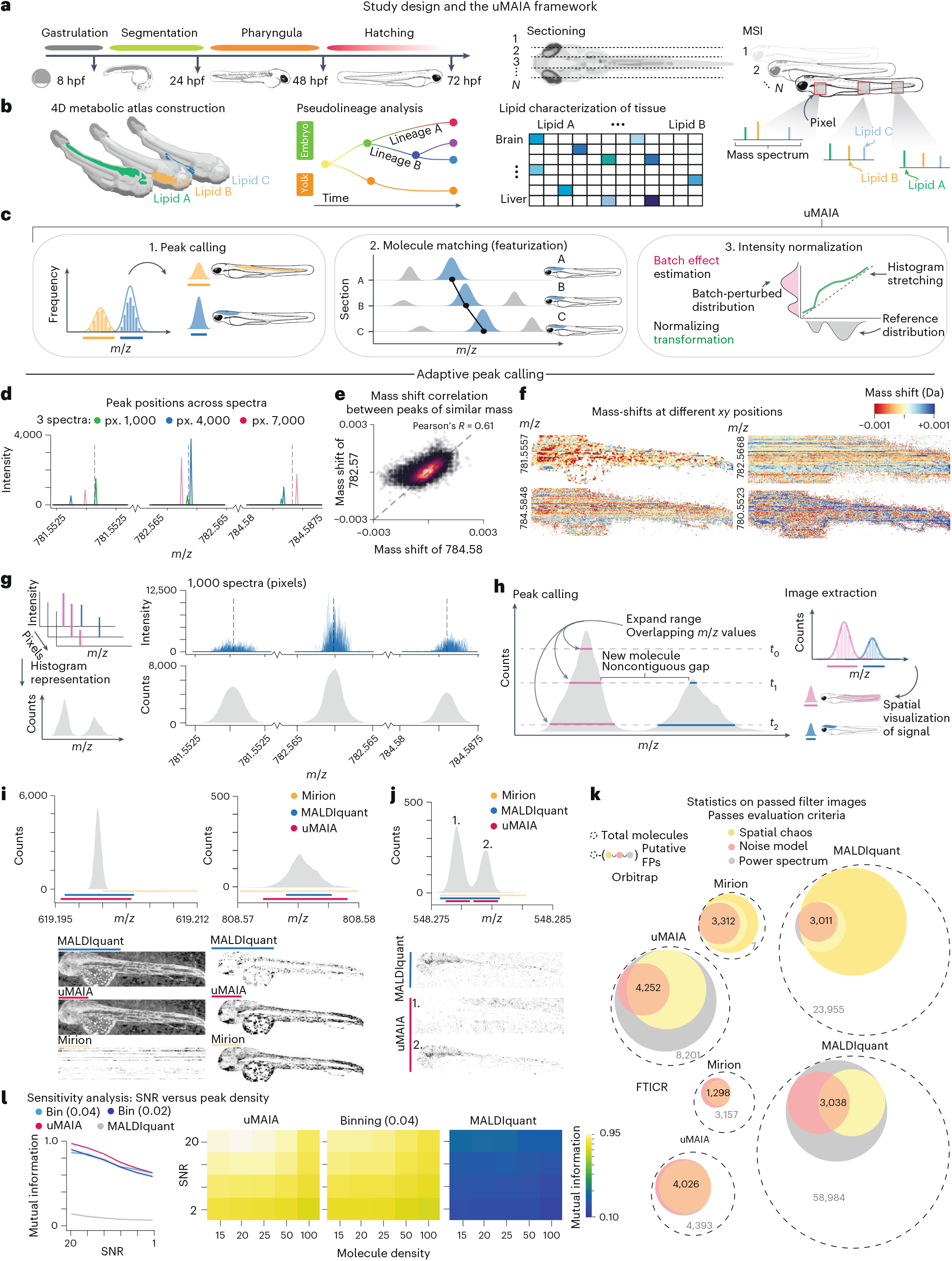 生命の脂質設計図を4Dでマッピング(Mapping the lipid blueprint of life in 4D)