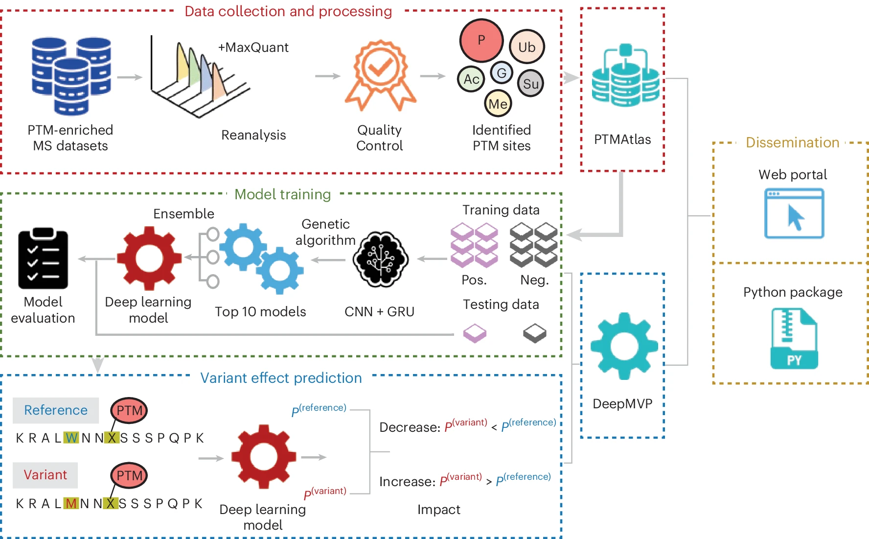 AI Reveals How Protein Modifications Link Mutations to Disease AI Reveals How Protein Modifications Link Mutations to Disease