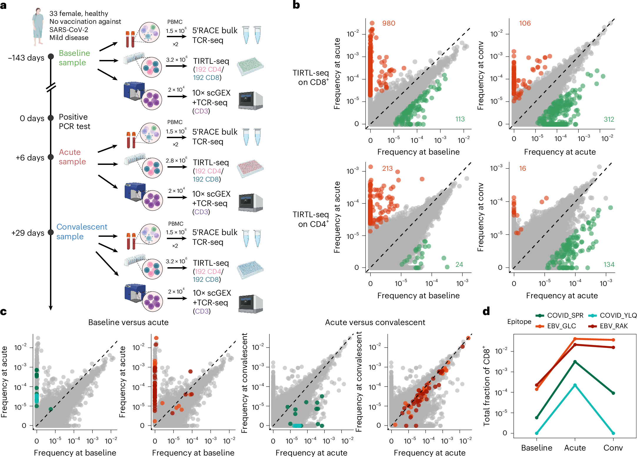 Fig. 3: Longitudinal clonal tracking with TIRTL-seq.