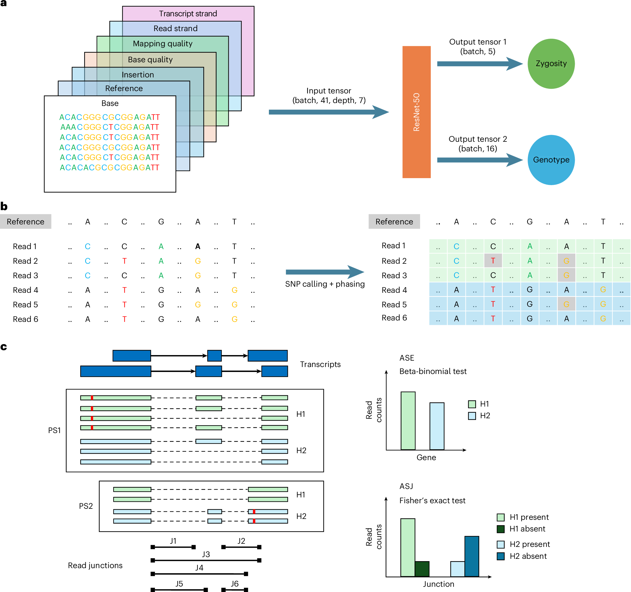 Fig. 1: Overview of the longcallR algorithm.