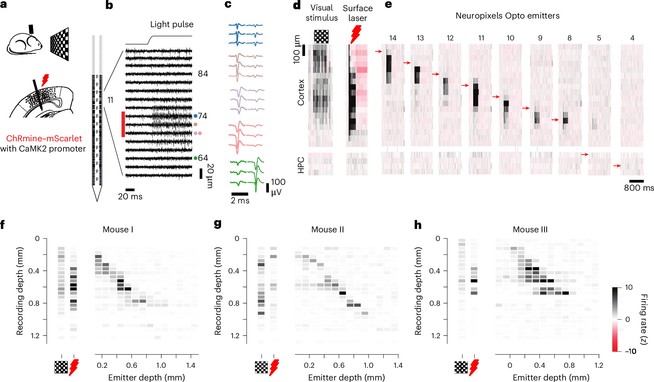 Fig. 3: Using Neuropixels Opto to record and activate local neural populations.