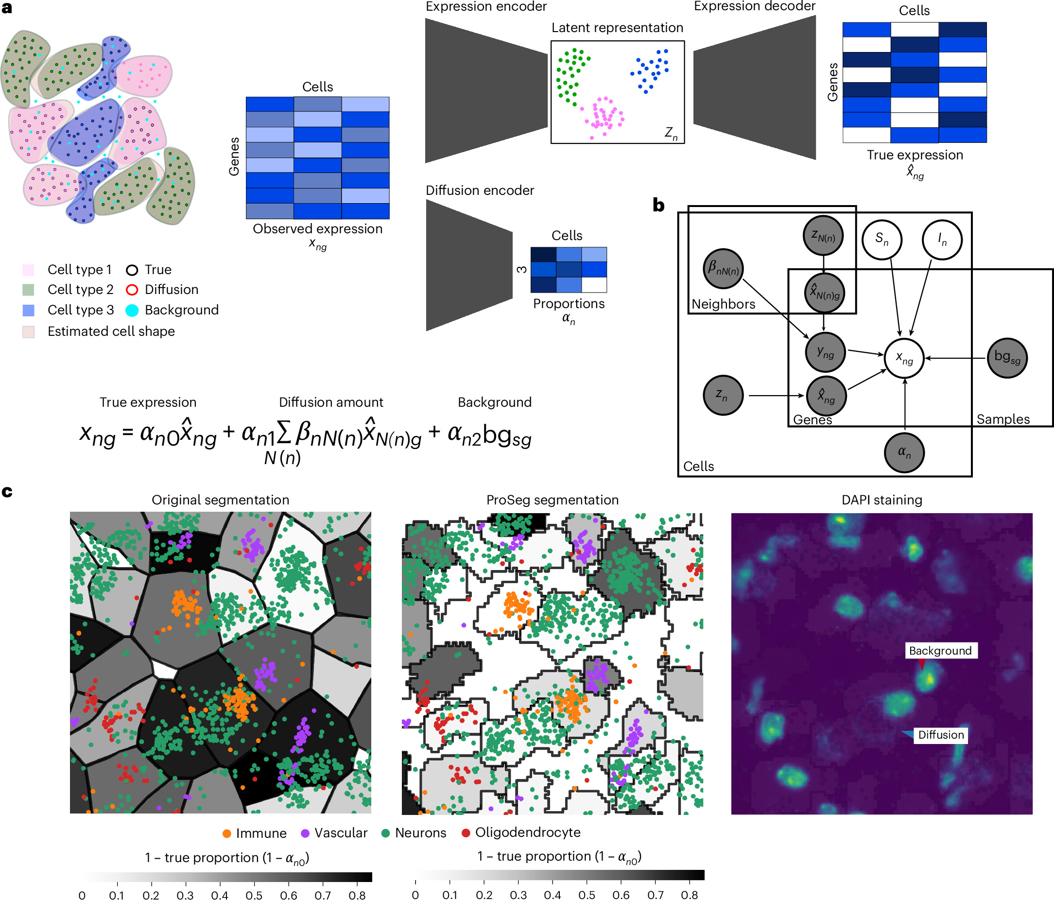 Fig. 1: Overview of resolVI.