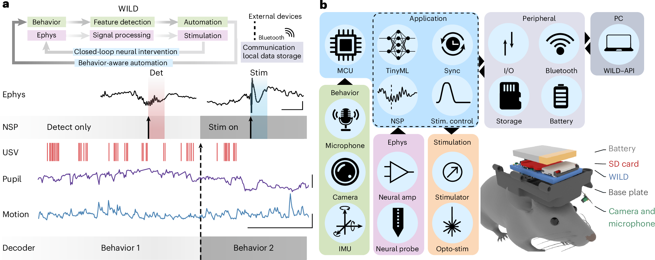Photograph accompanying Head-mounted datalogger takes closed-loop neural recording outdoors in mice
