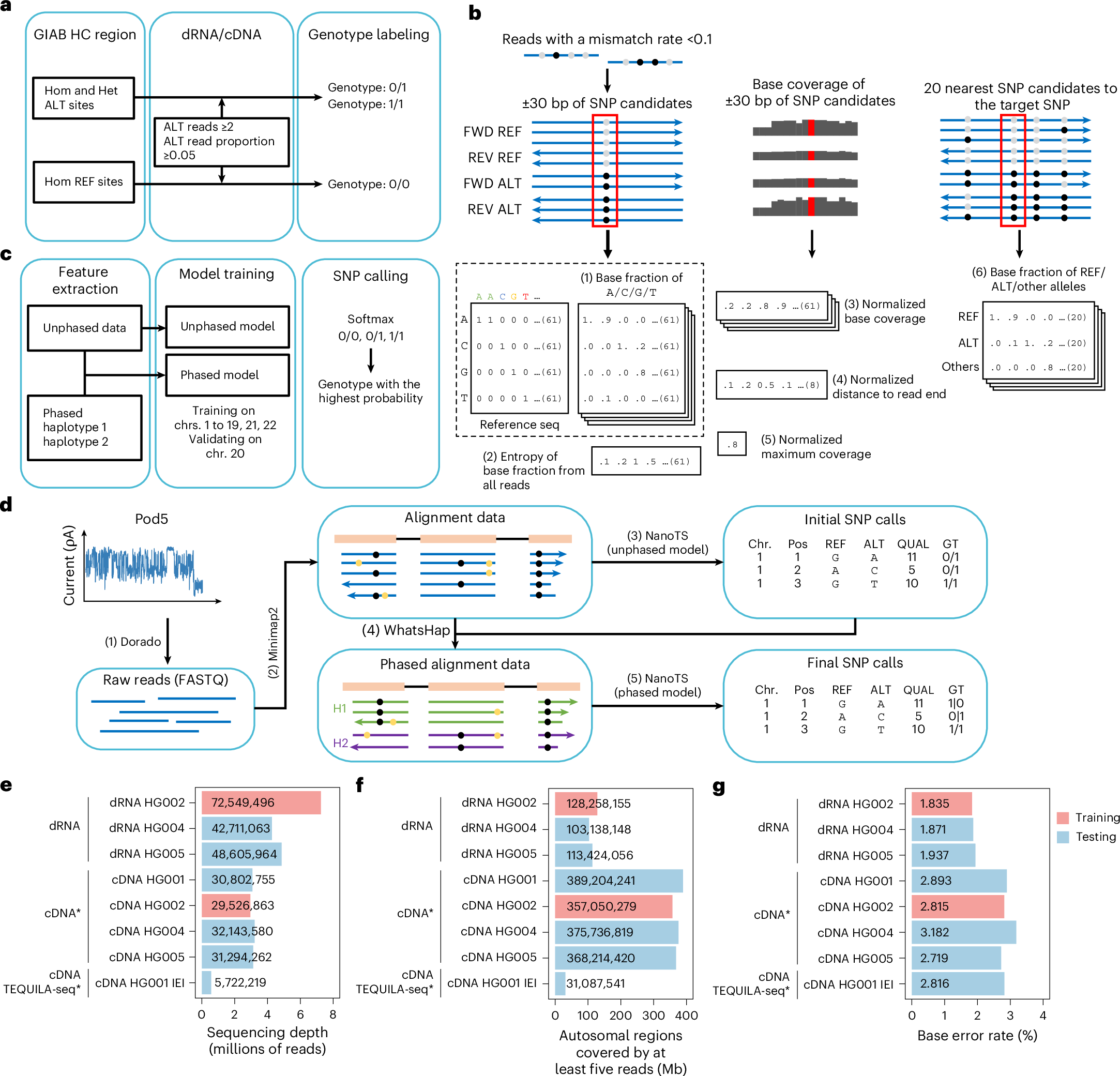 Photograph accompanying NanoTS calls SNPs from nanopore RNA at F1 above 0.980 on five-read sites