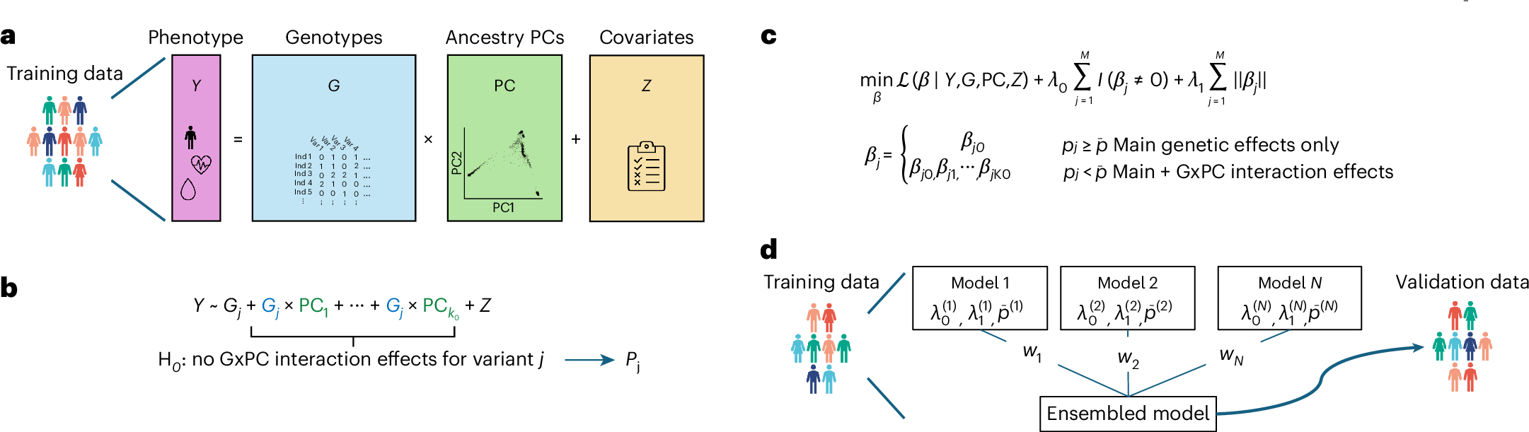 Photograph accompanying A label-free polygenic score improved prediction for non-European and admixed biobank participants