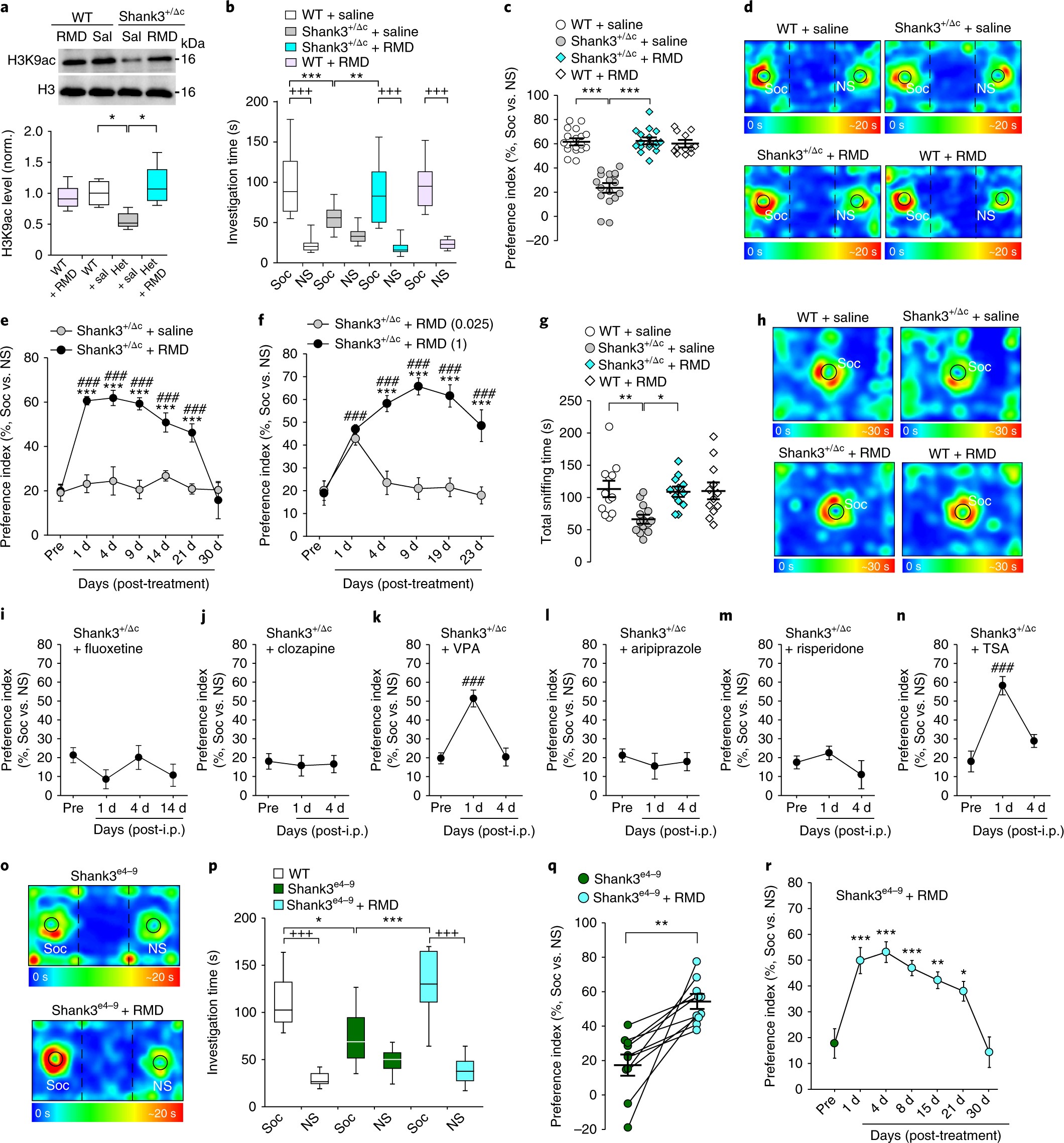 Neuroscientists Reverse Some Autism >> Social Deficits In Shank3 Deficient Mouse Models Of Autism Are Neuroscientists Reverse Some Autism >> Social Deficits In Shank3 Deficient Mouse Models Of Autism Are