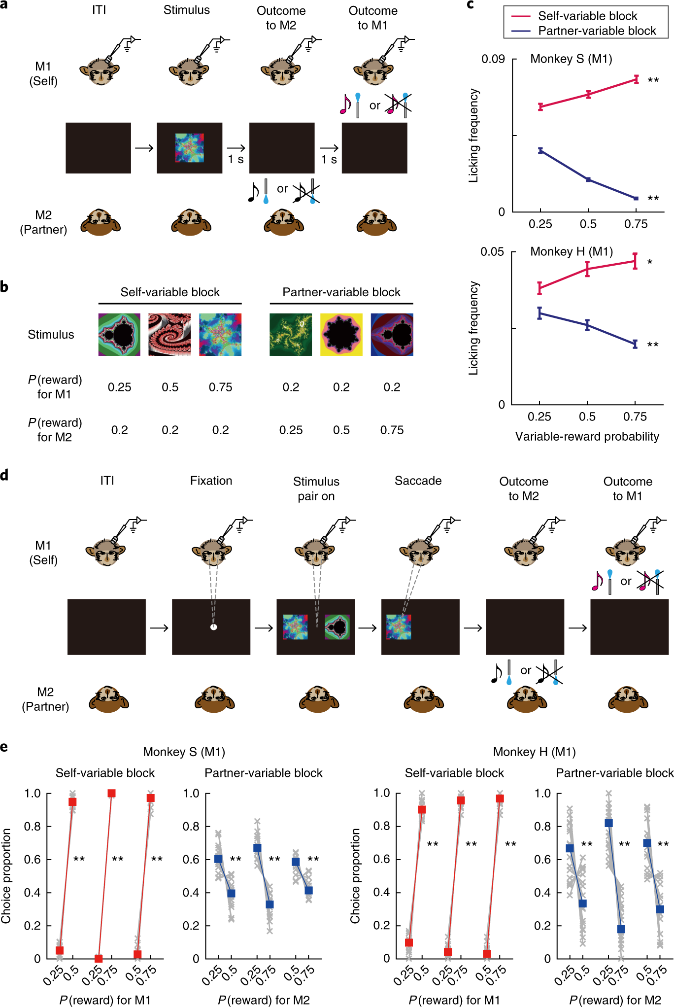 Social Reward Monitoring And Valuation In The Macaque Brain