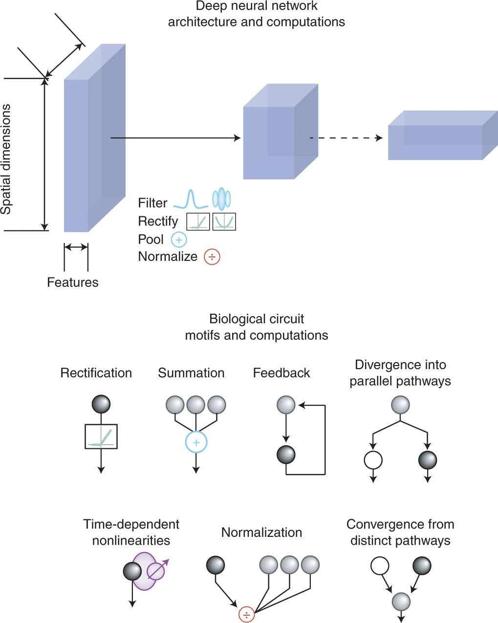 Stimulus- and goal-oriented frameworks for understanding natural vision