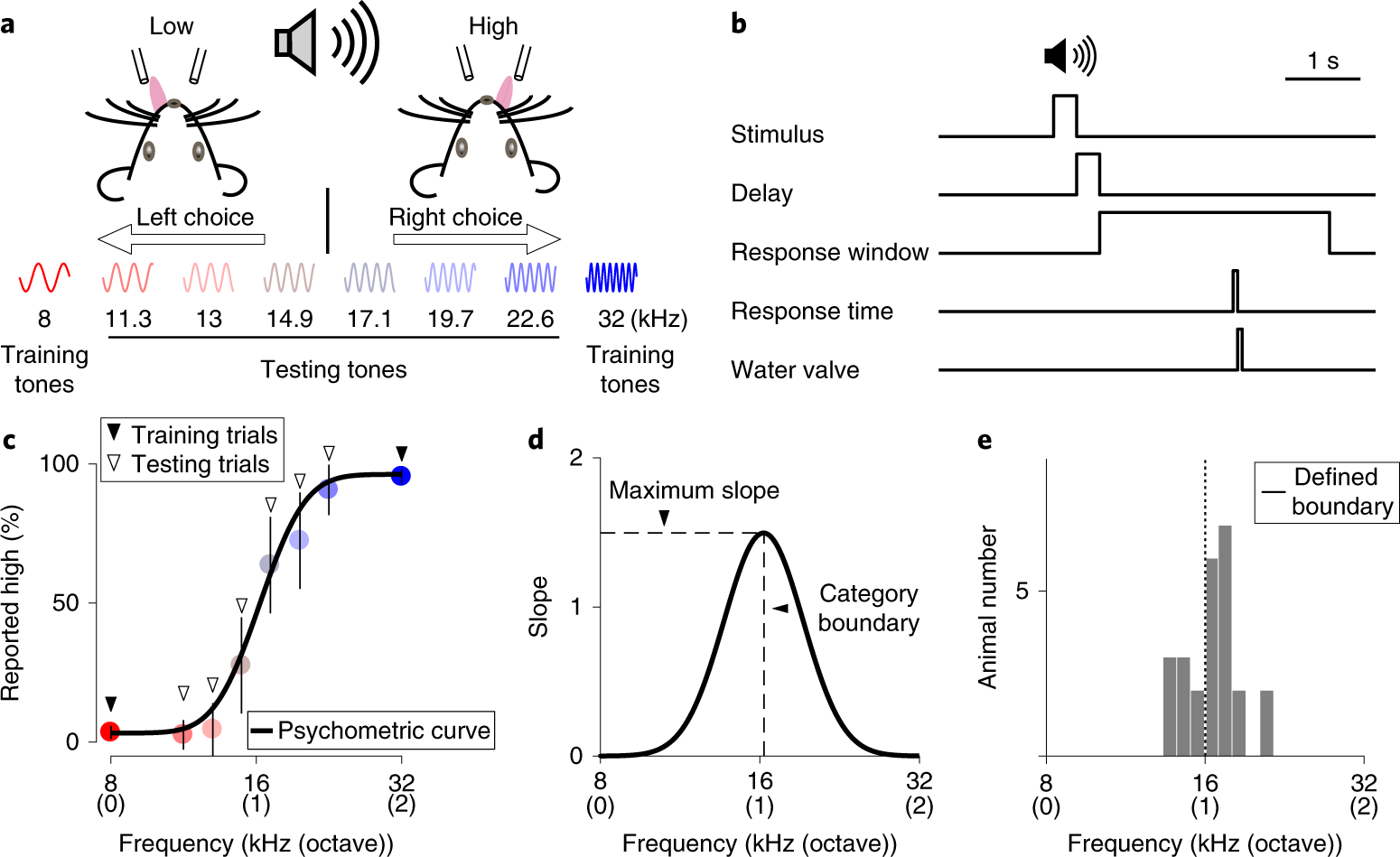 Dynamics of Visual Perceptual Decision-Making in Freely Behaving