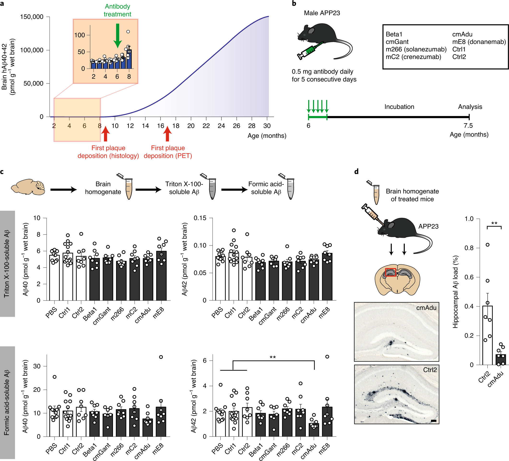 Acute targeting of pre-amyloid seeds in transgenic mice reduces  Alzheimer-like pathology later in life | Nature Neuroscience