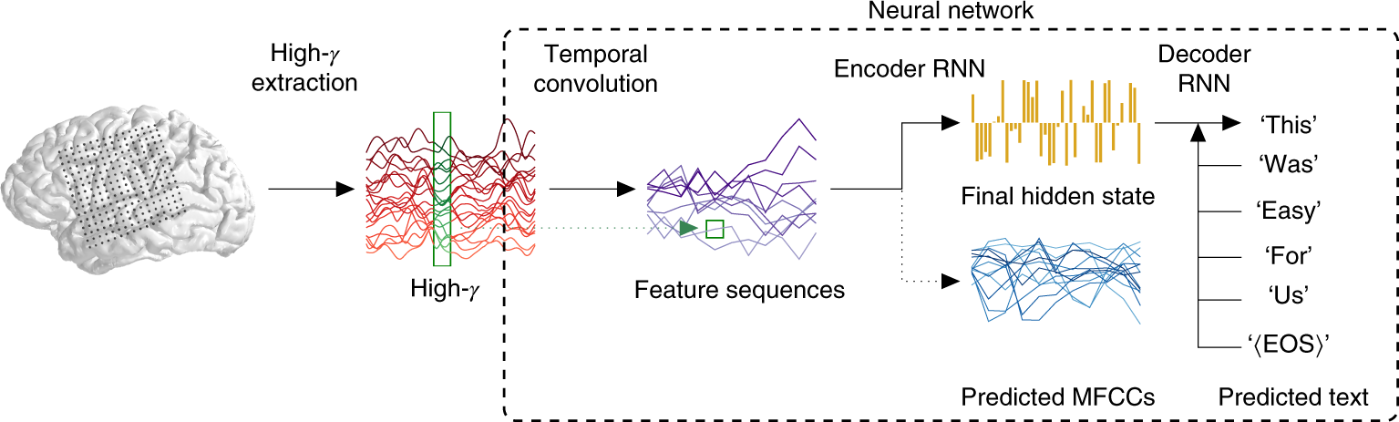 Machine translation of cortical activity to text with encoder–decoder framework thumbnail