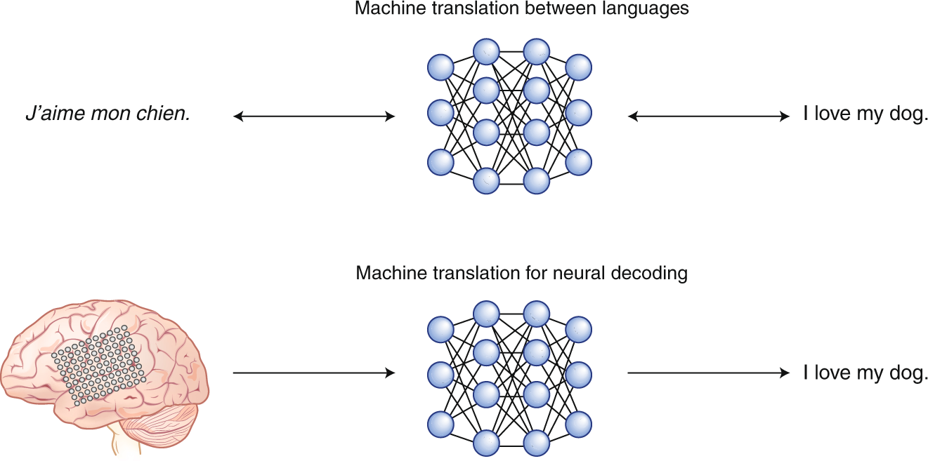 Translating the brain | Nature Neuroscience